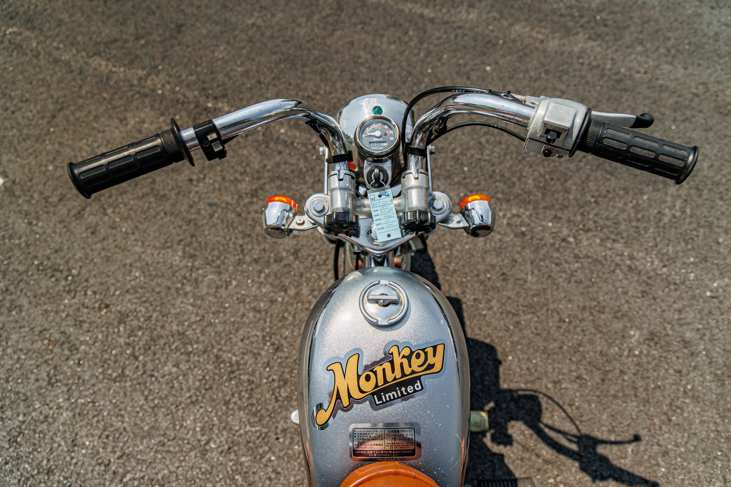 Monkey-60.jpg