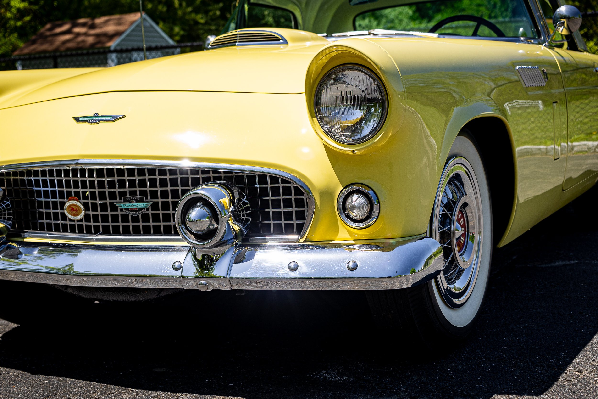 SST-24-24-127.jpg