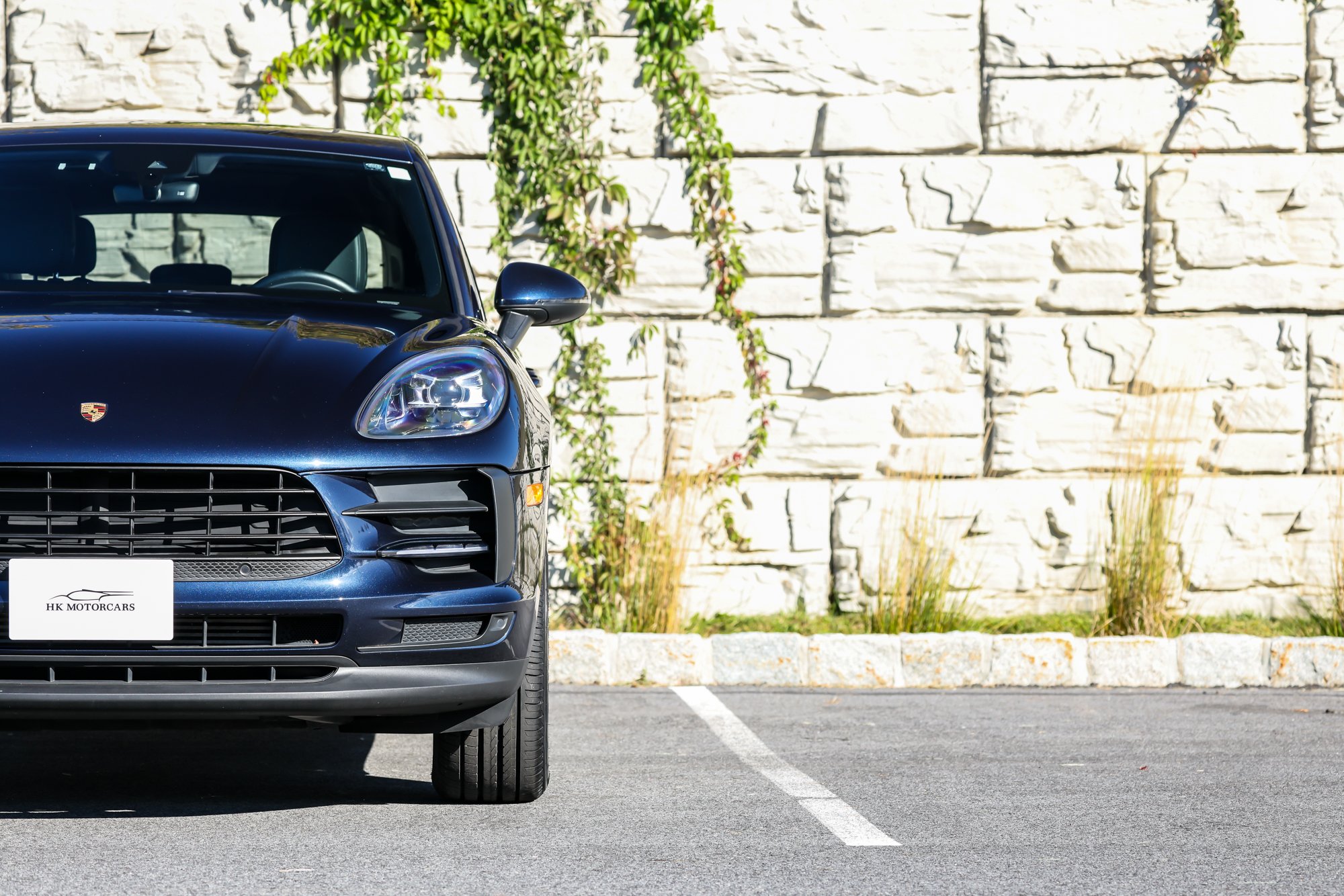 Macan (22).jpg (Copy) (Copy)