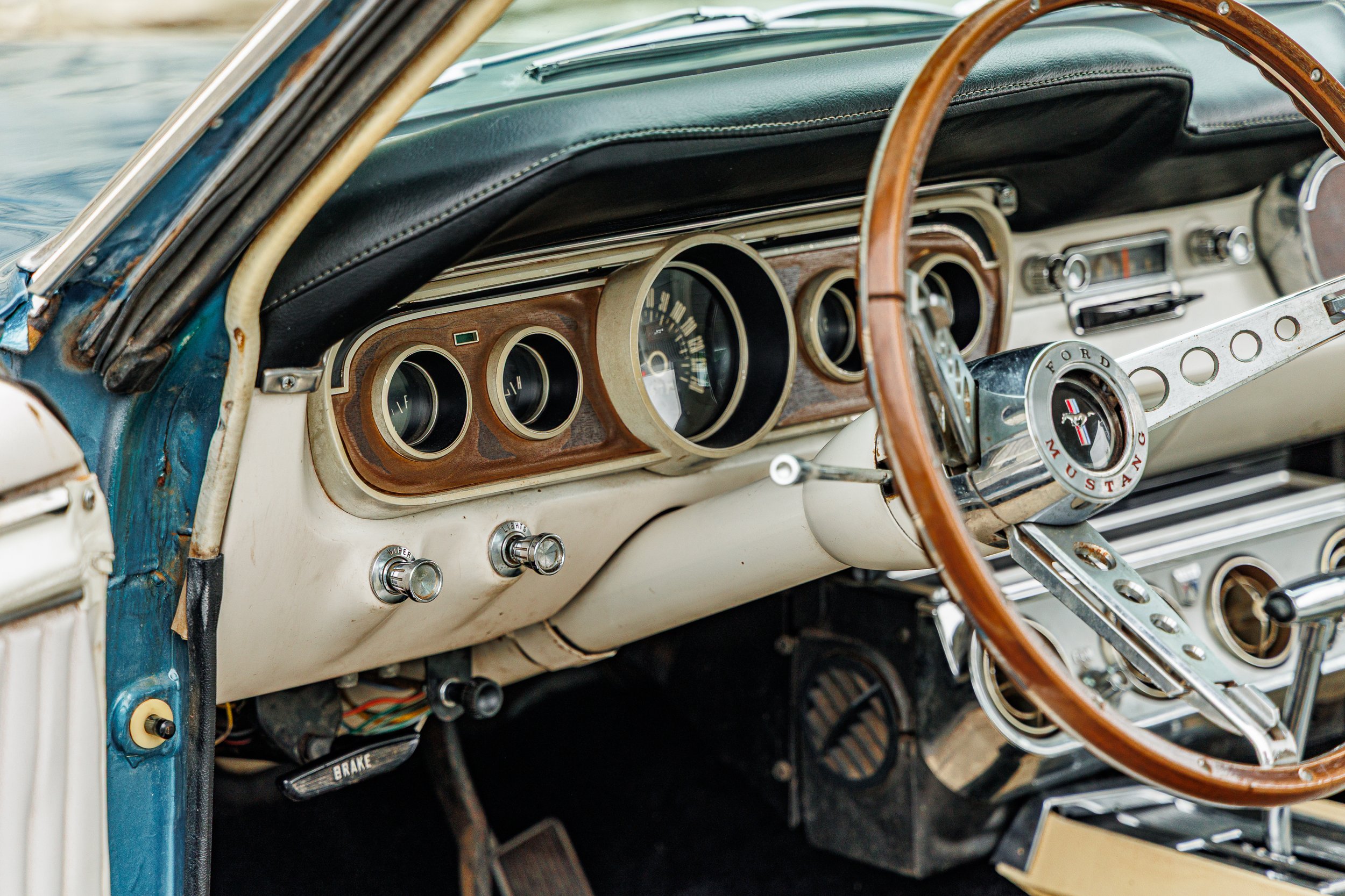 Mustang-146.jpg