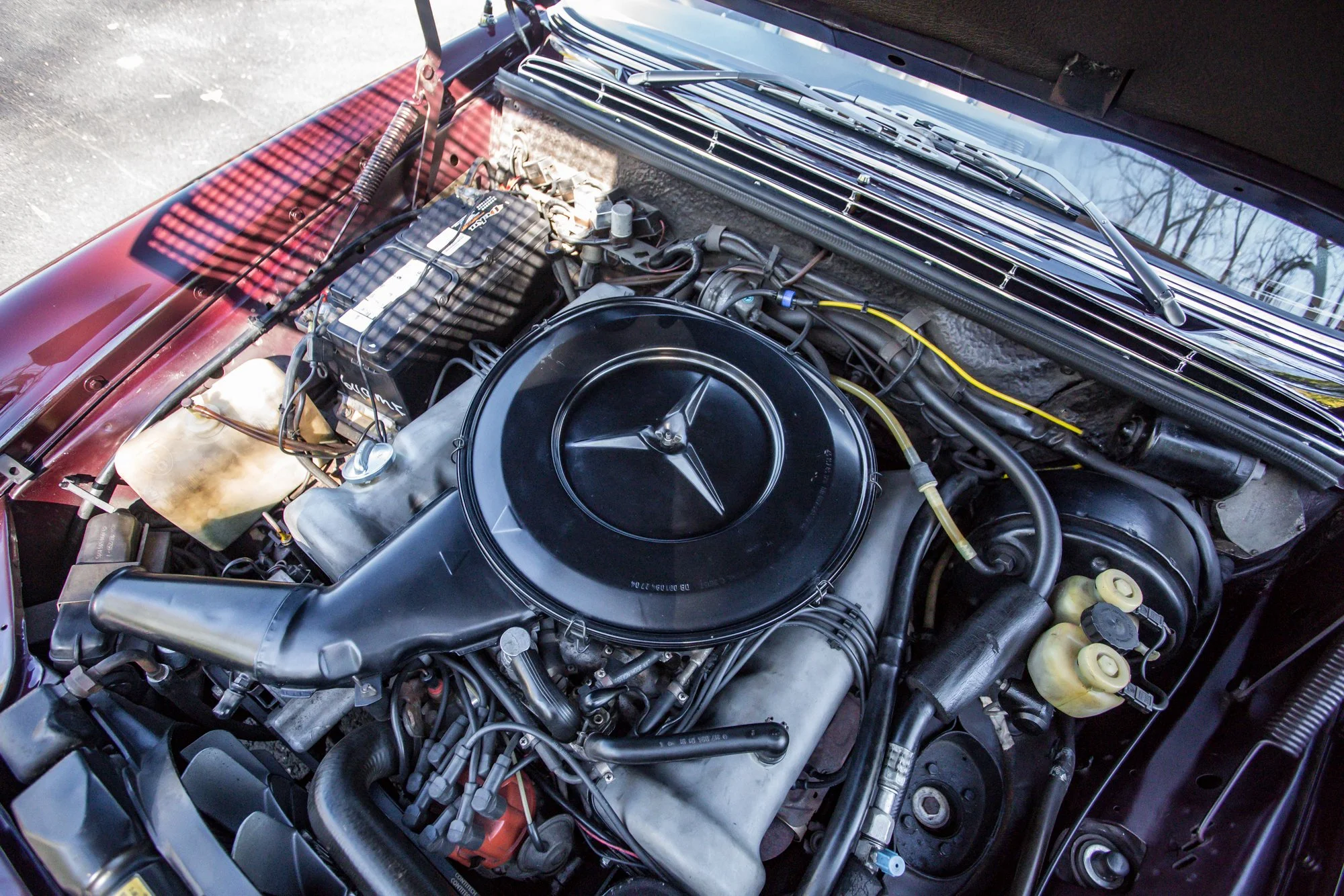 Merc (161).jpg (Copy)