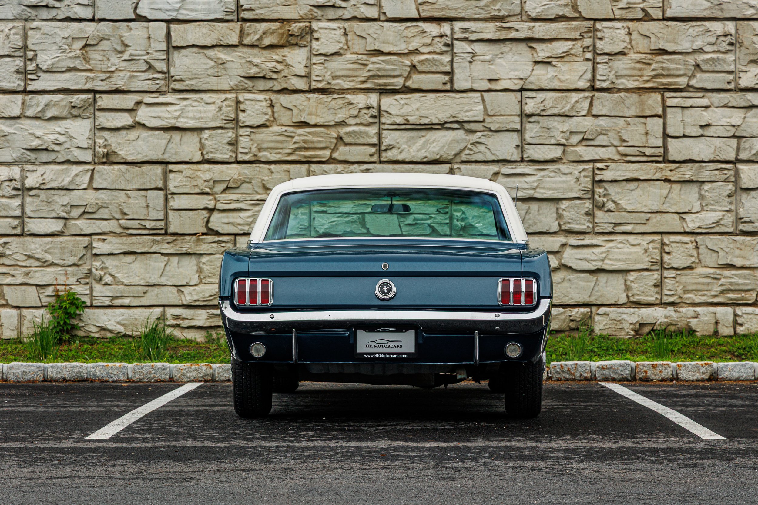 Mustang-011.jpg