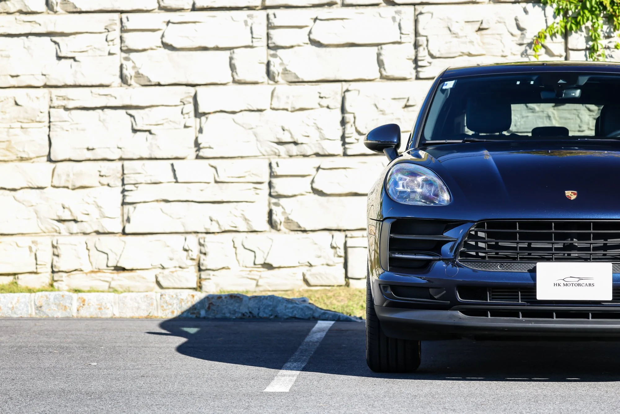 Macan (21).jpg (Copy) (Copy)