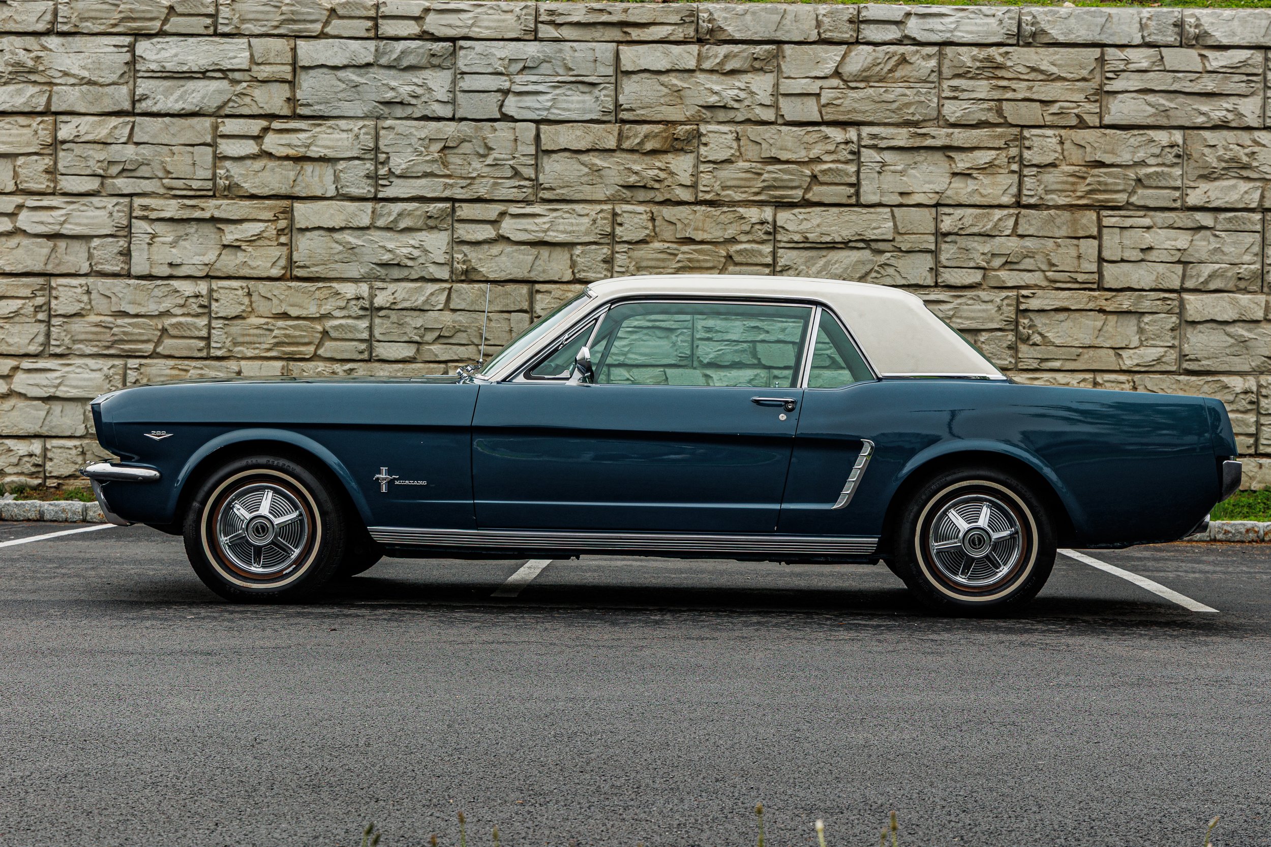 Mustang-017.jpg