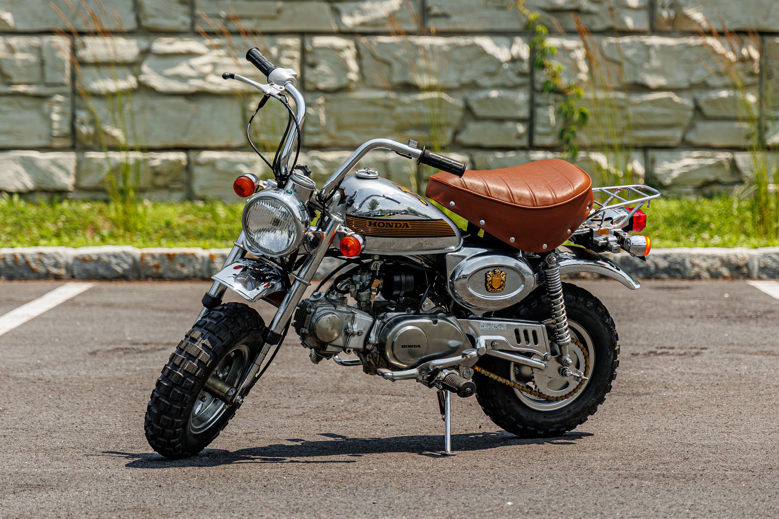 Monkey-16.jpg