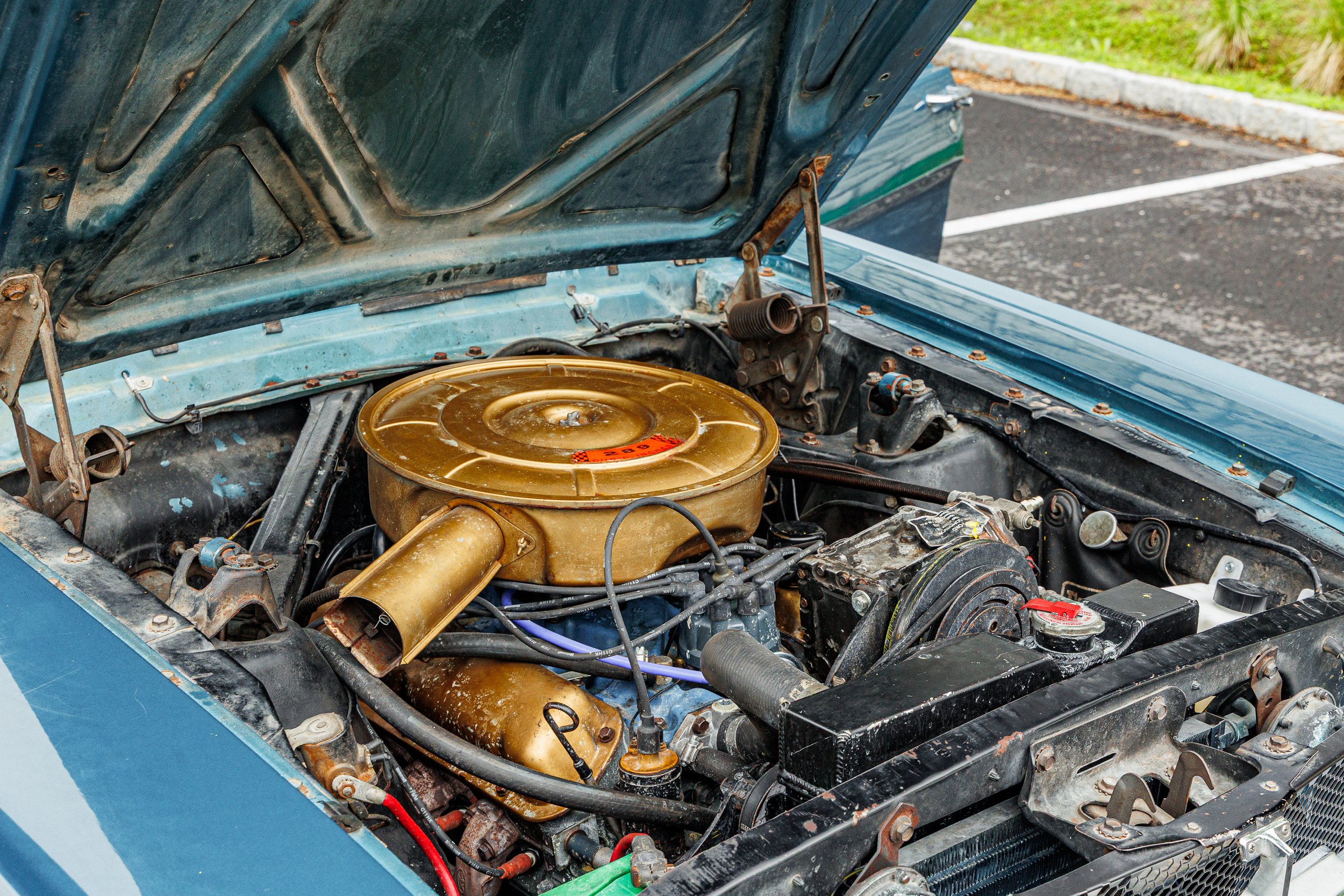 Mustang-044.jpg