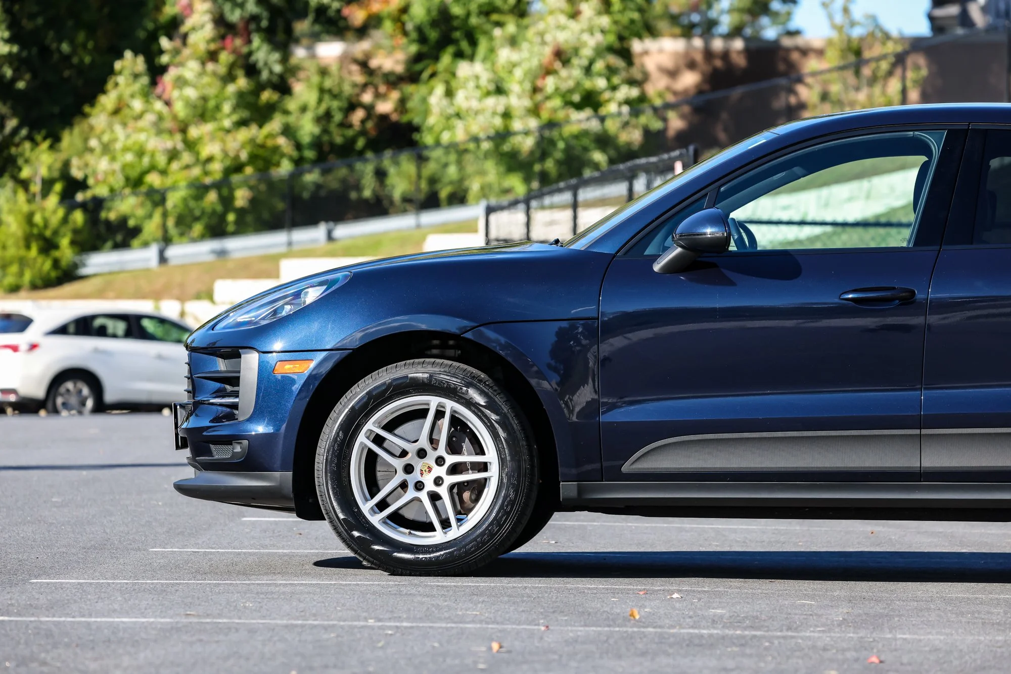 Macan (71).jpg (Copy) (Copy)