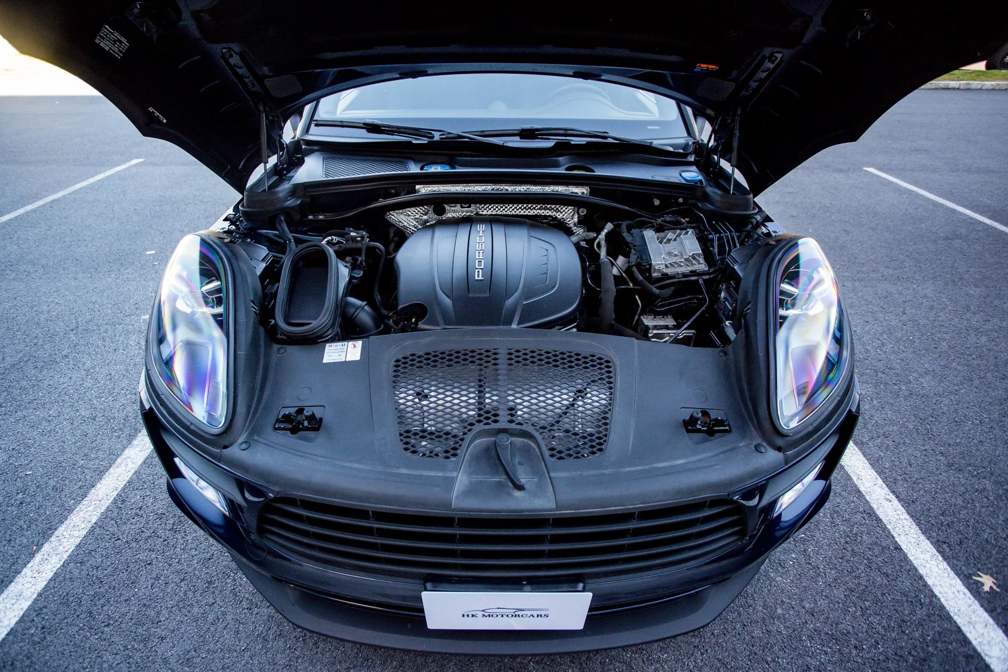Macan (180).jpg (Copy) (Copy)