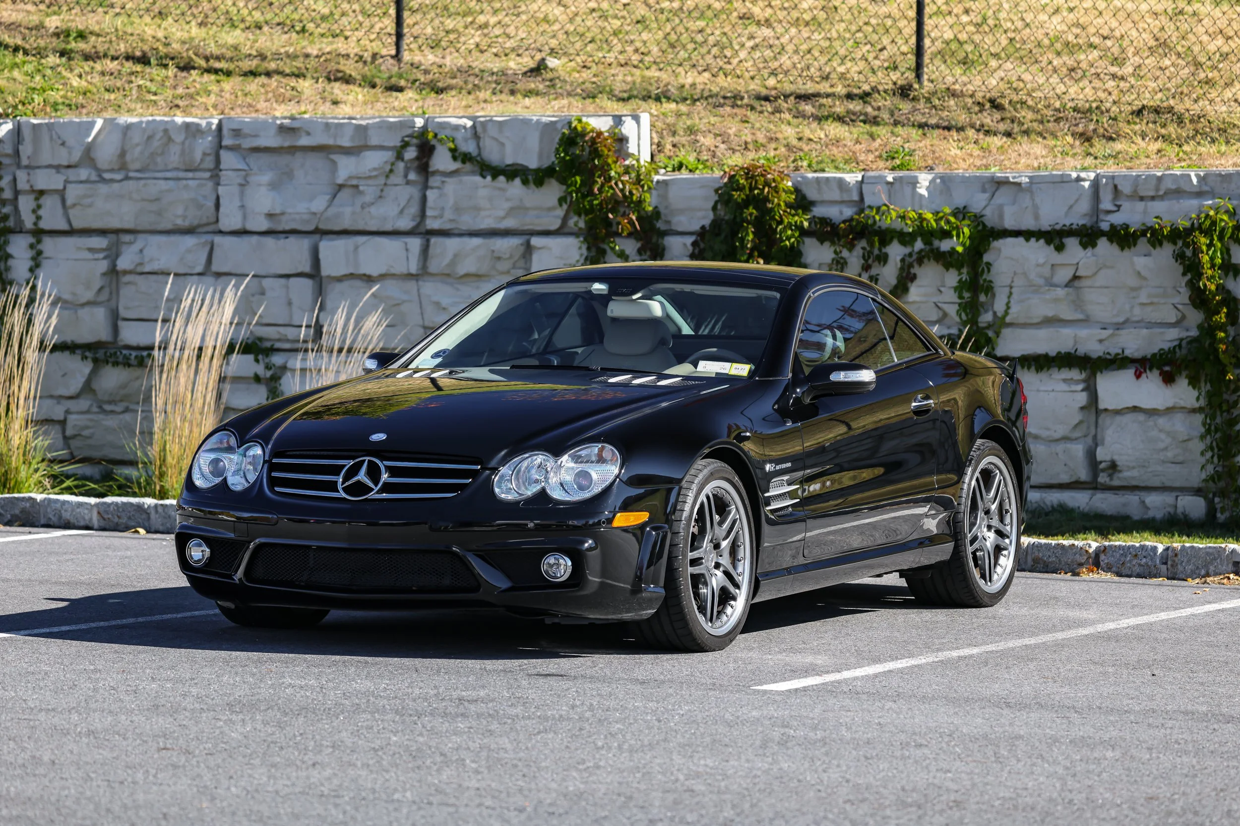 SL65 (2).jpg (Copy)