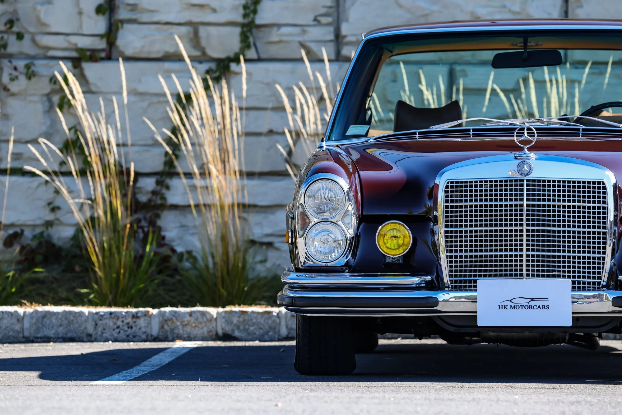 Merc (23).jpg (Copy)