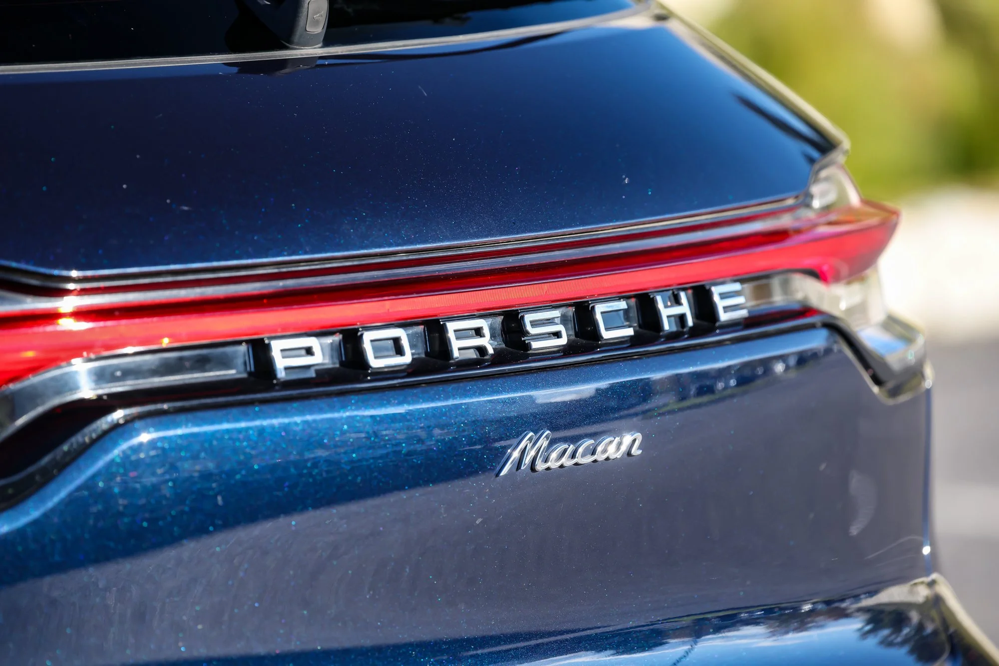Macan (56).jpg (Copy) (Copy)