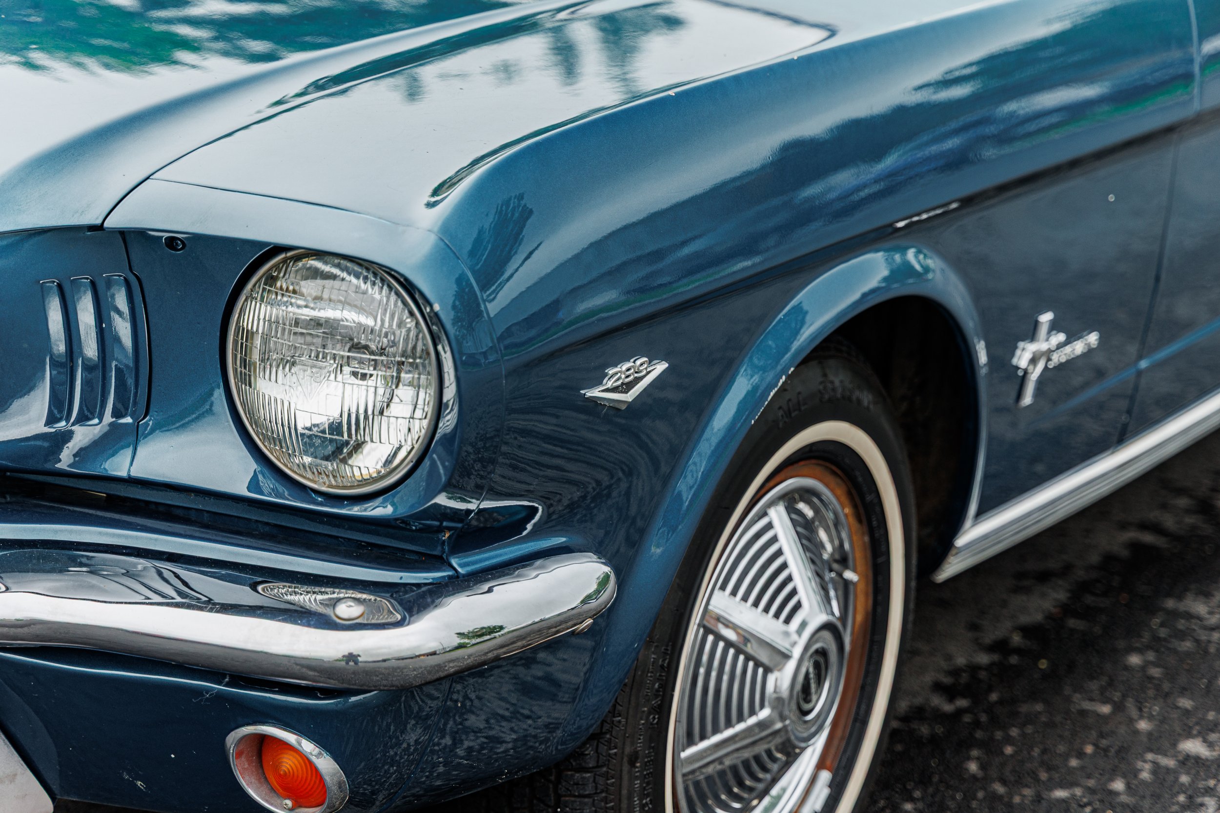 Mustang-080.jpg