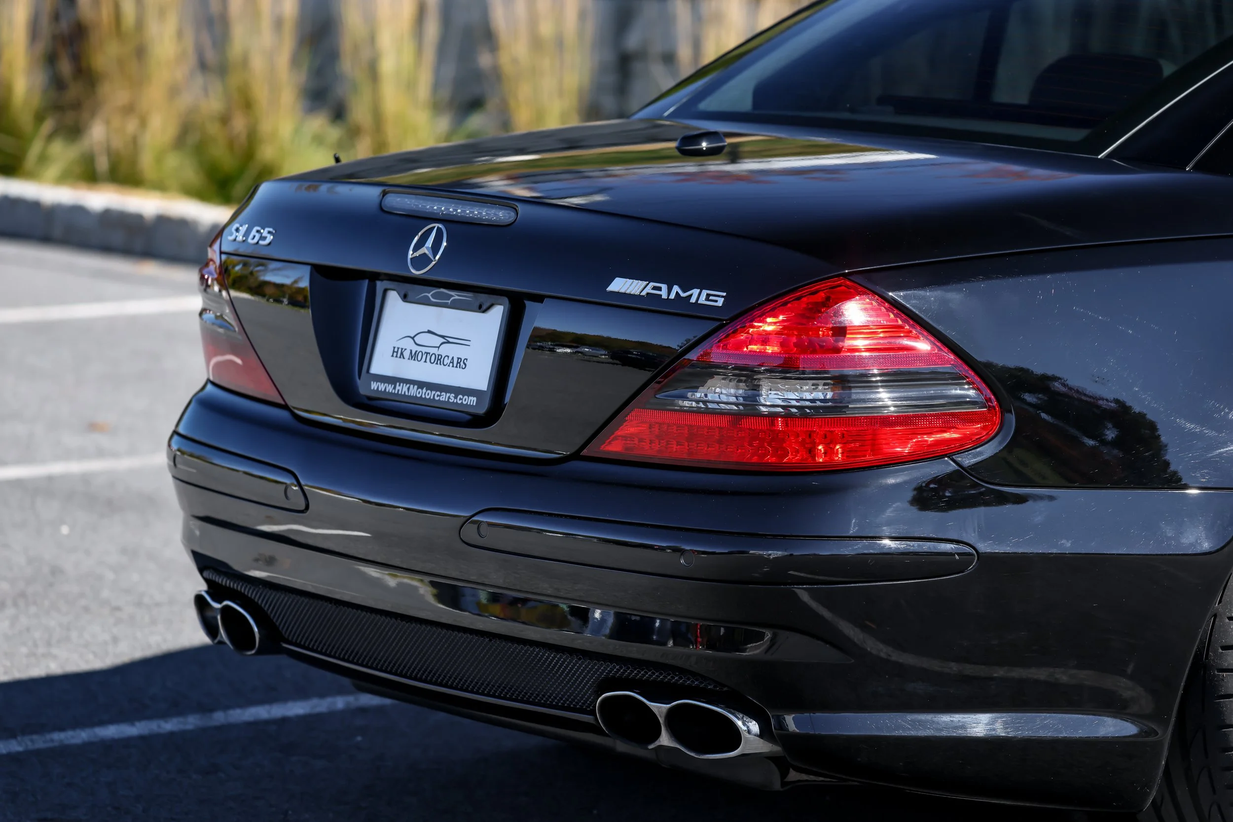 SL65 (55).jpg (Copy)