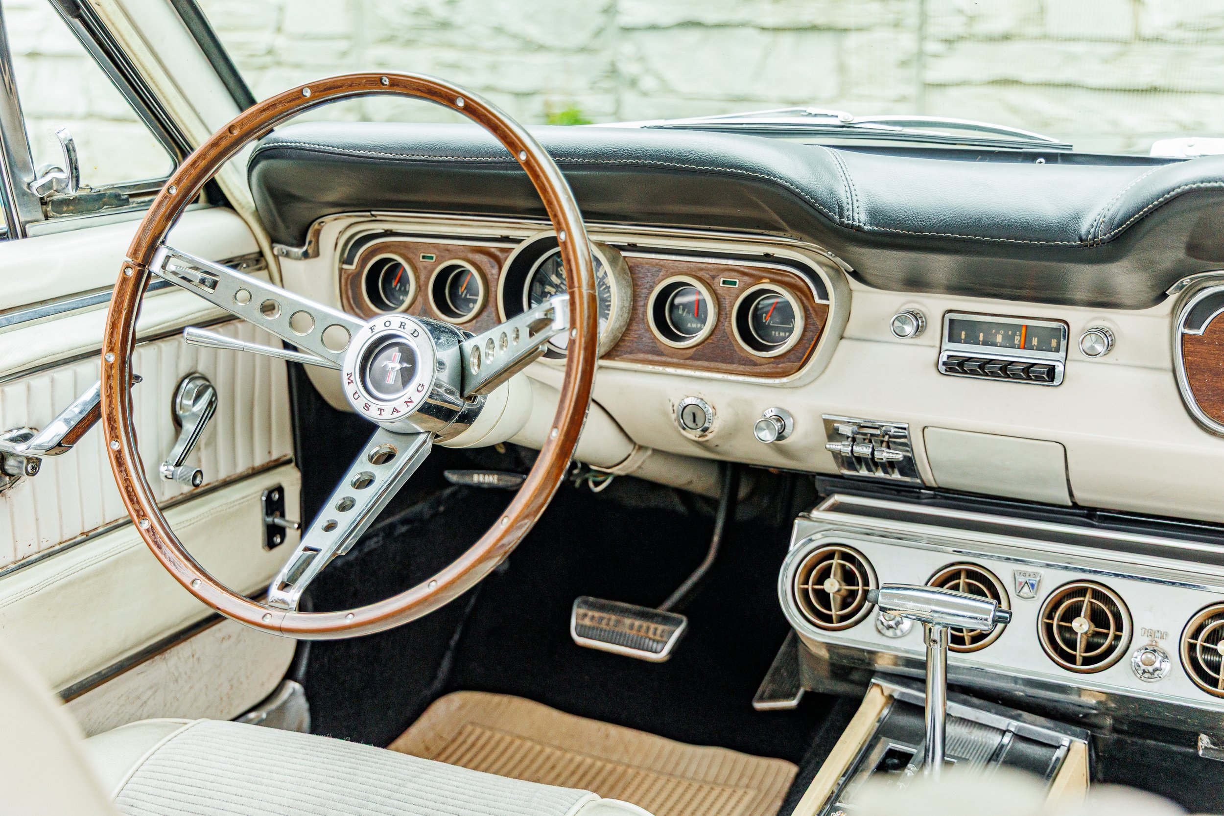 Mustang-205.jpg