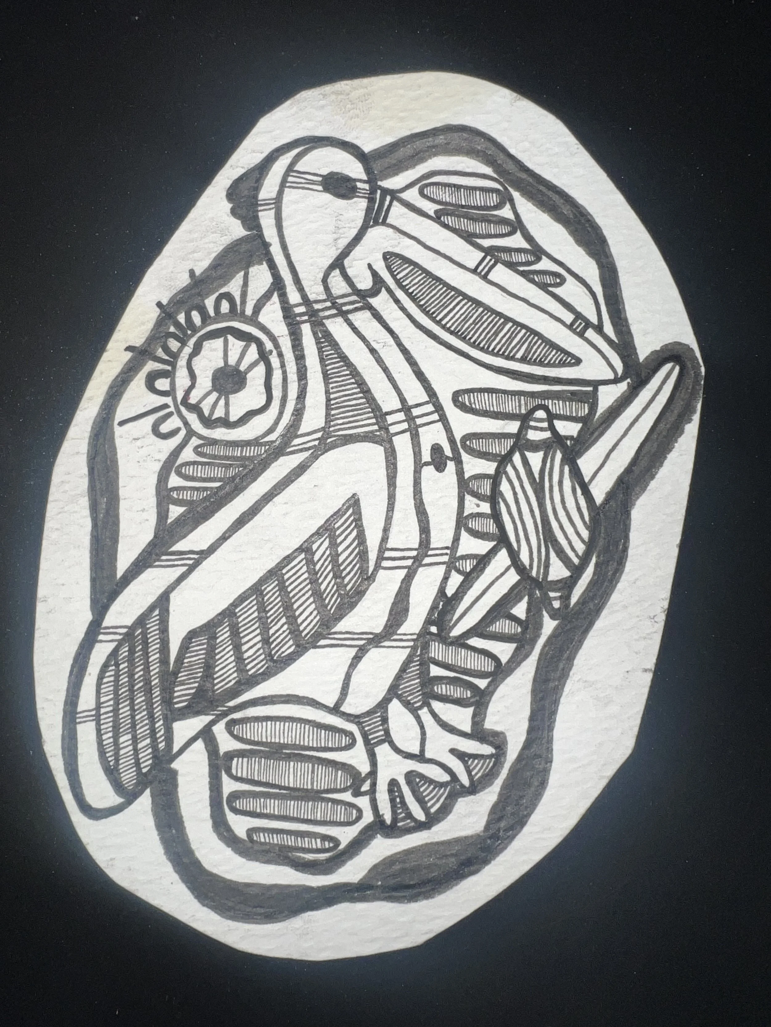 Black and white line drawing .