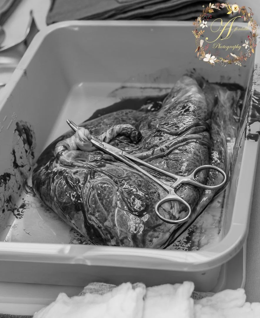 Anderson Family Birth (58).JPG