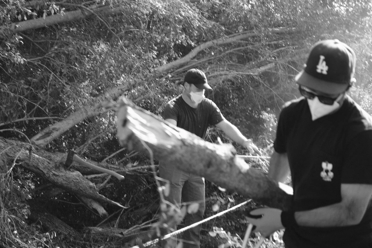 LA Fire Cleanup, Pasadena (2025)