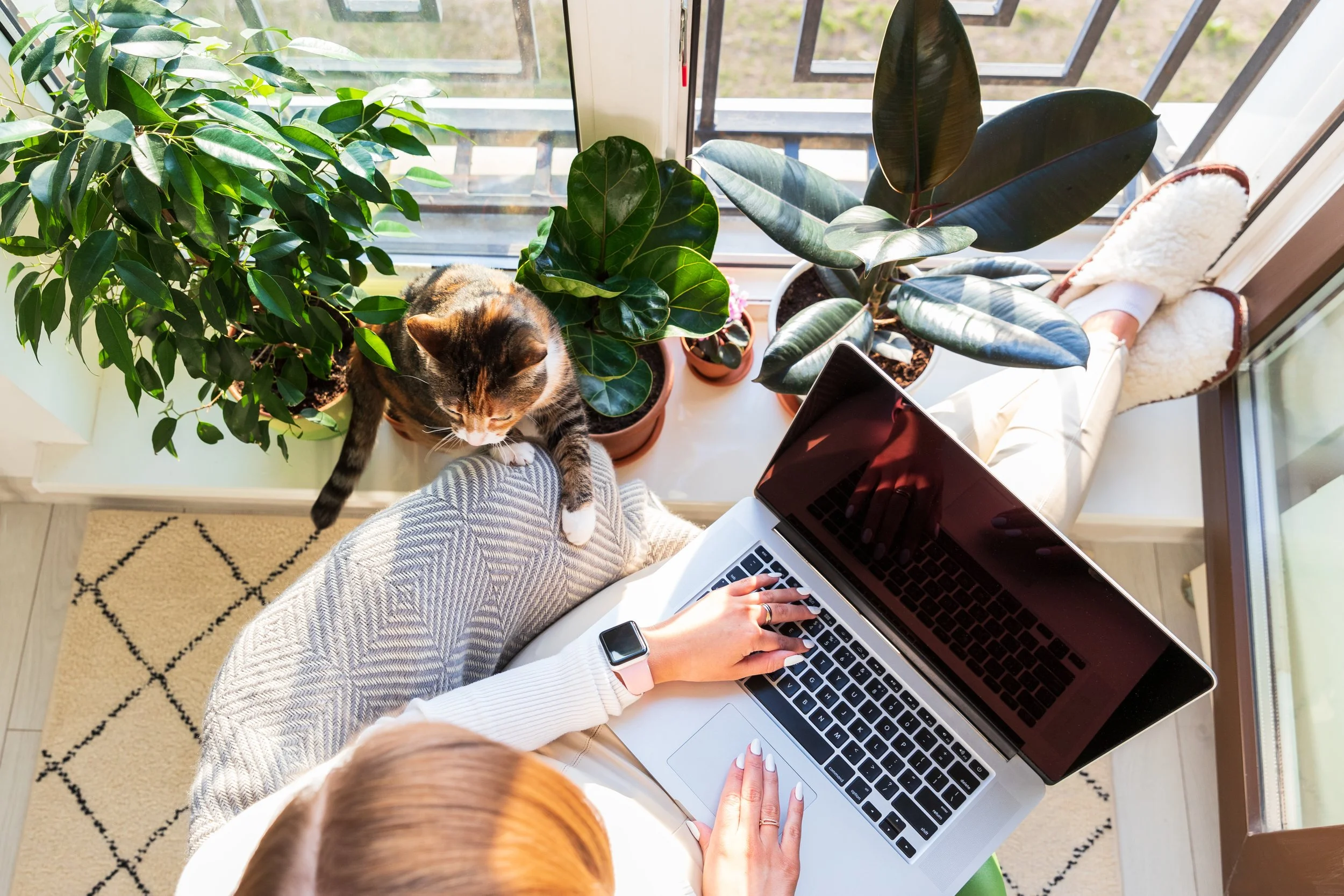 A person using a laptop on their lap with a cat beside them, surrounded by potted plants near a balcony or large window. The person is wearing a smartwatch, and the scene includes slippers and a patterned rug.
