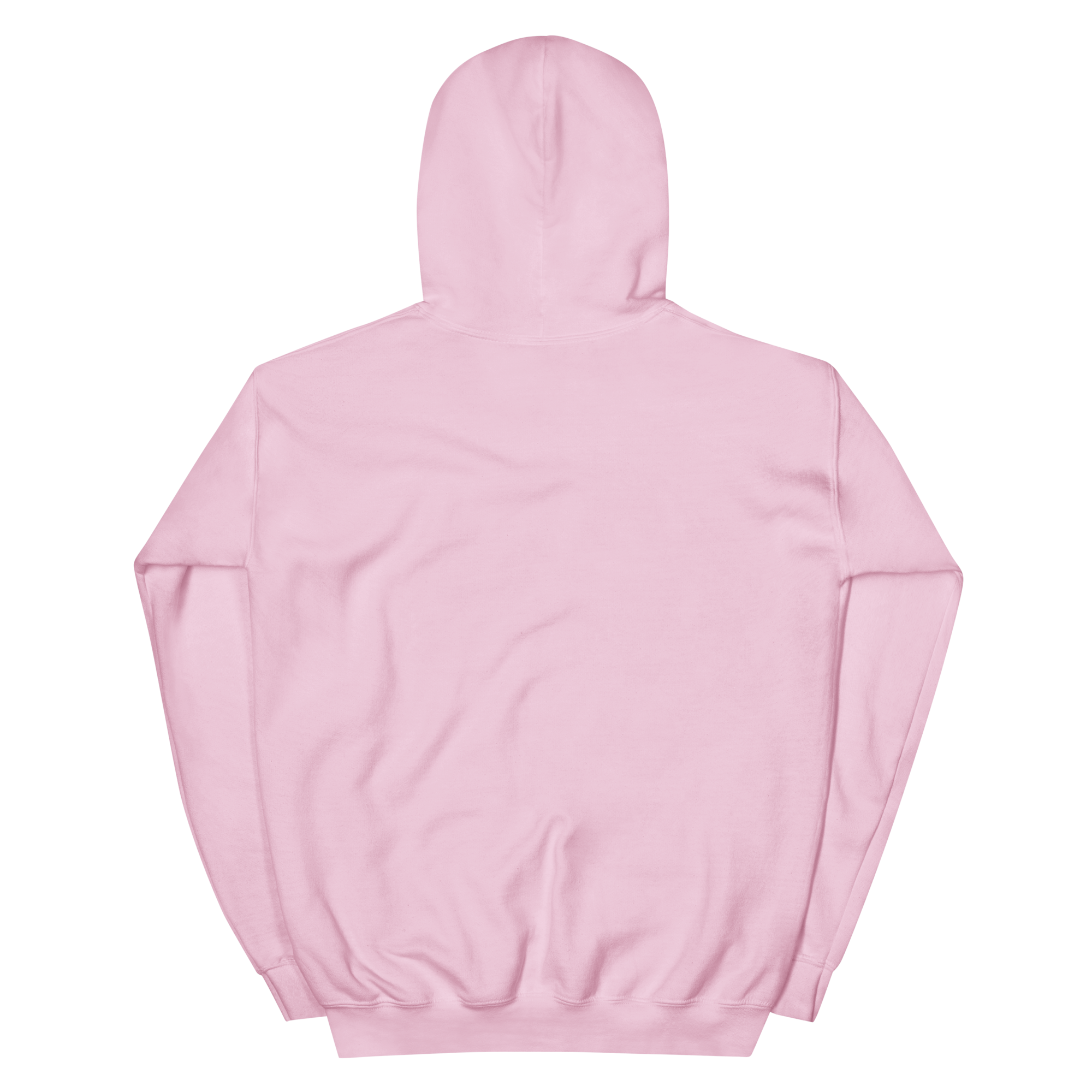 unisex-heavy-blend-hoodie-light-pink-back-68617f4be13e3.png