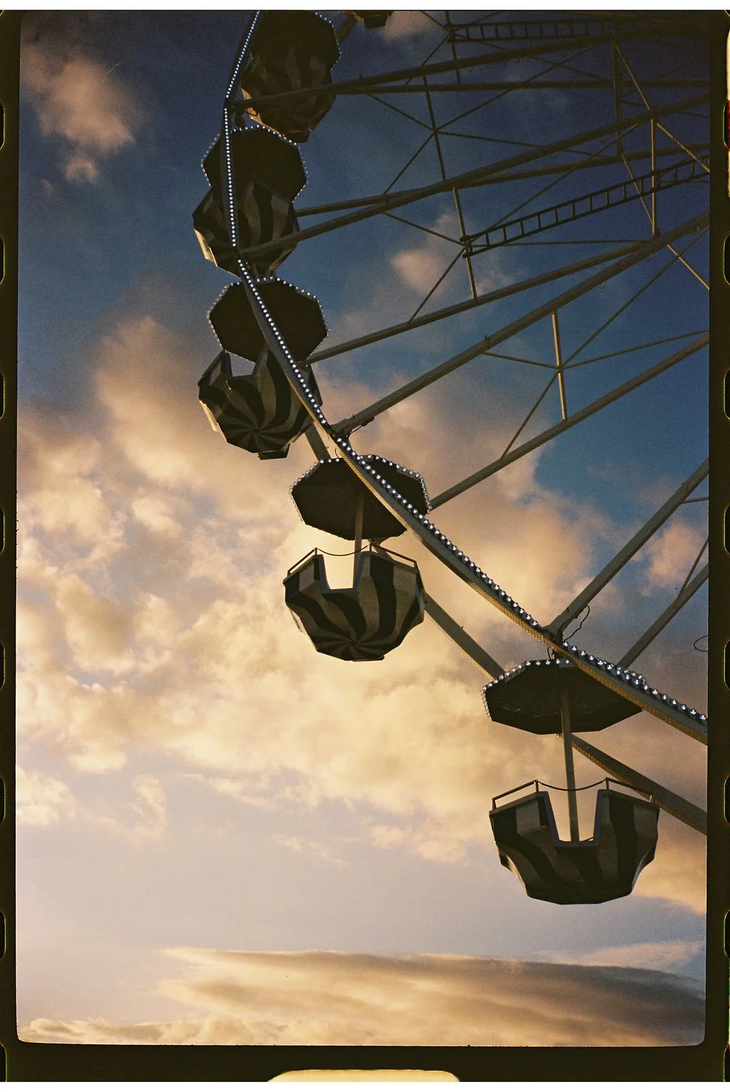 Petite Cherry Photo20.JPG