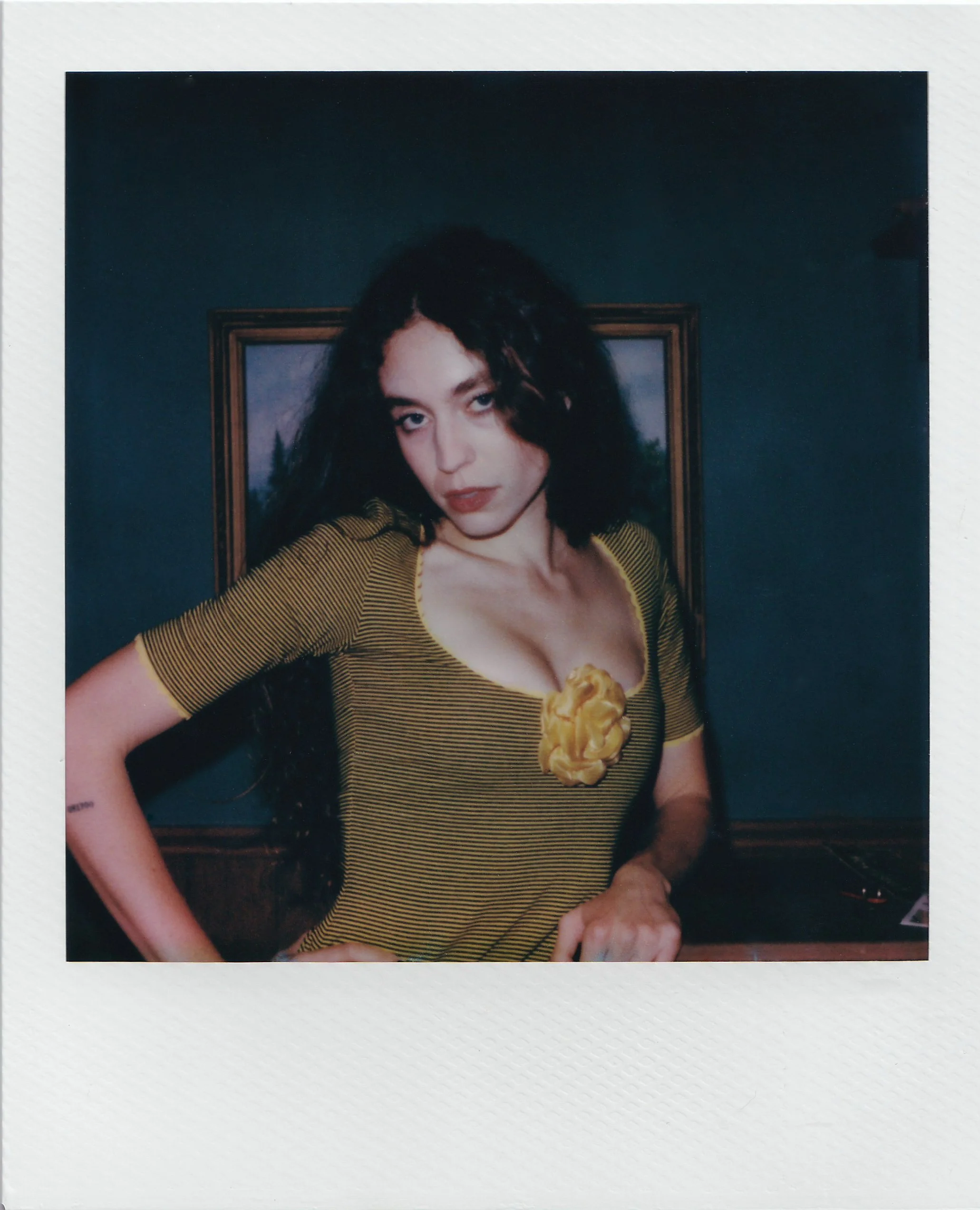 callandra-4.jpg