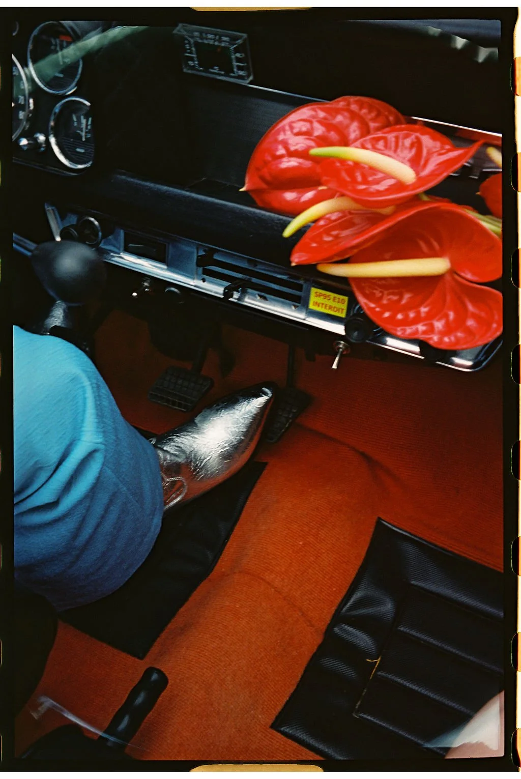 Petite Cherry Photo17.JPG