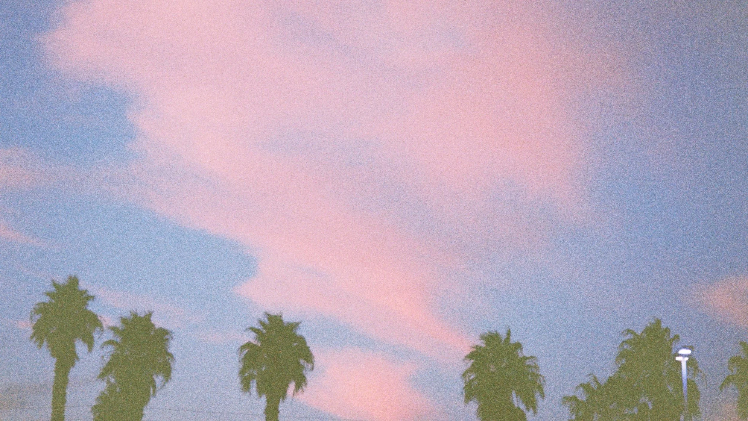 petite cherry photo13.jpg