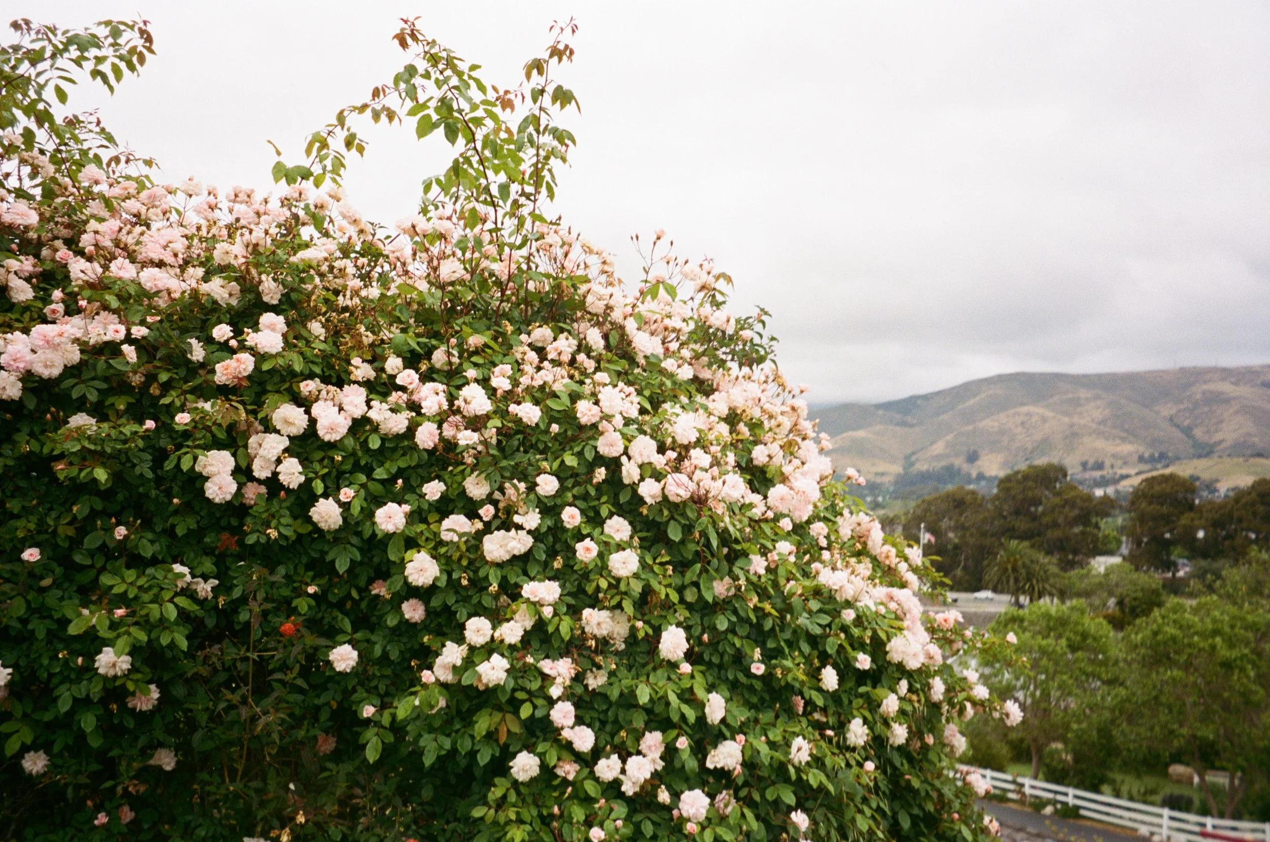 2026 | Cherry on Top + Additional Time Deposit & Contract