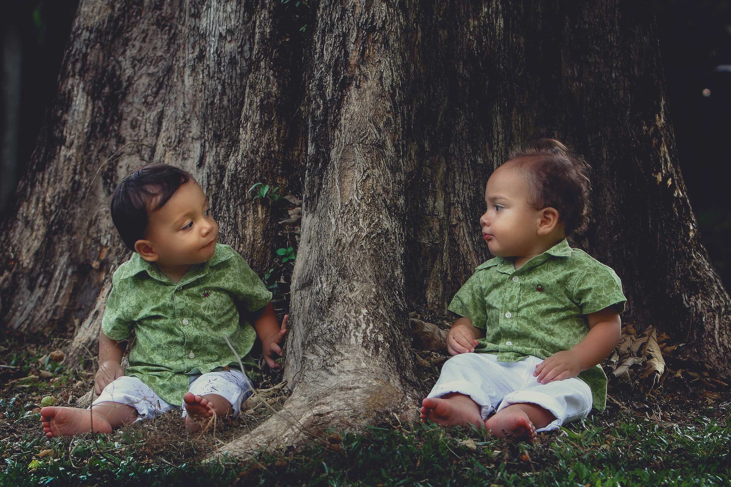 Twins.jpg
