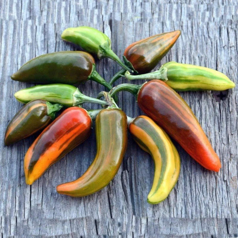 Fish pepper