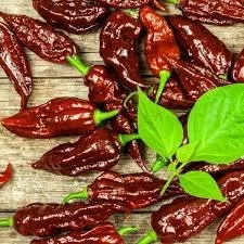 Bhutlah - Chocolate