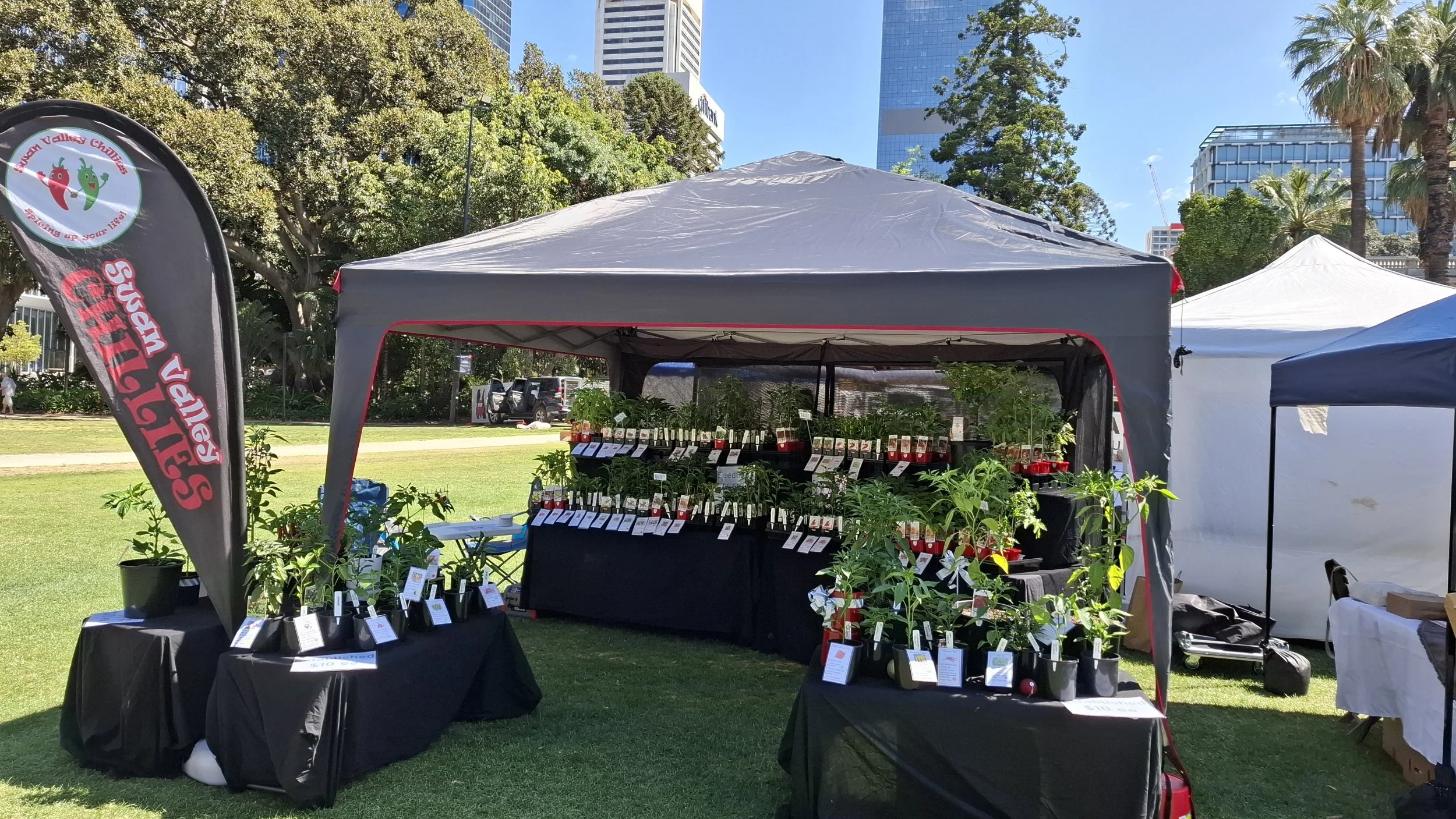 Festival Display - Swan Valley Chillies