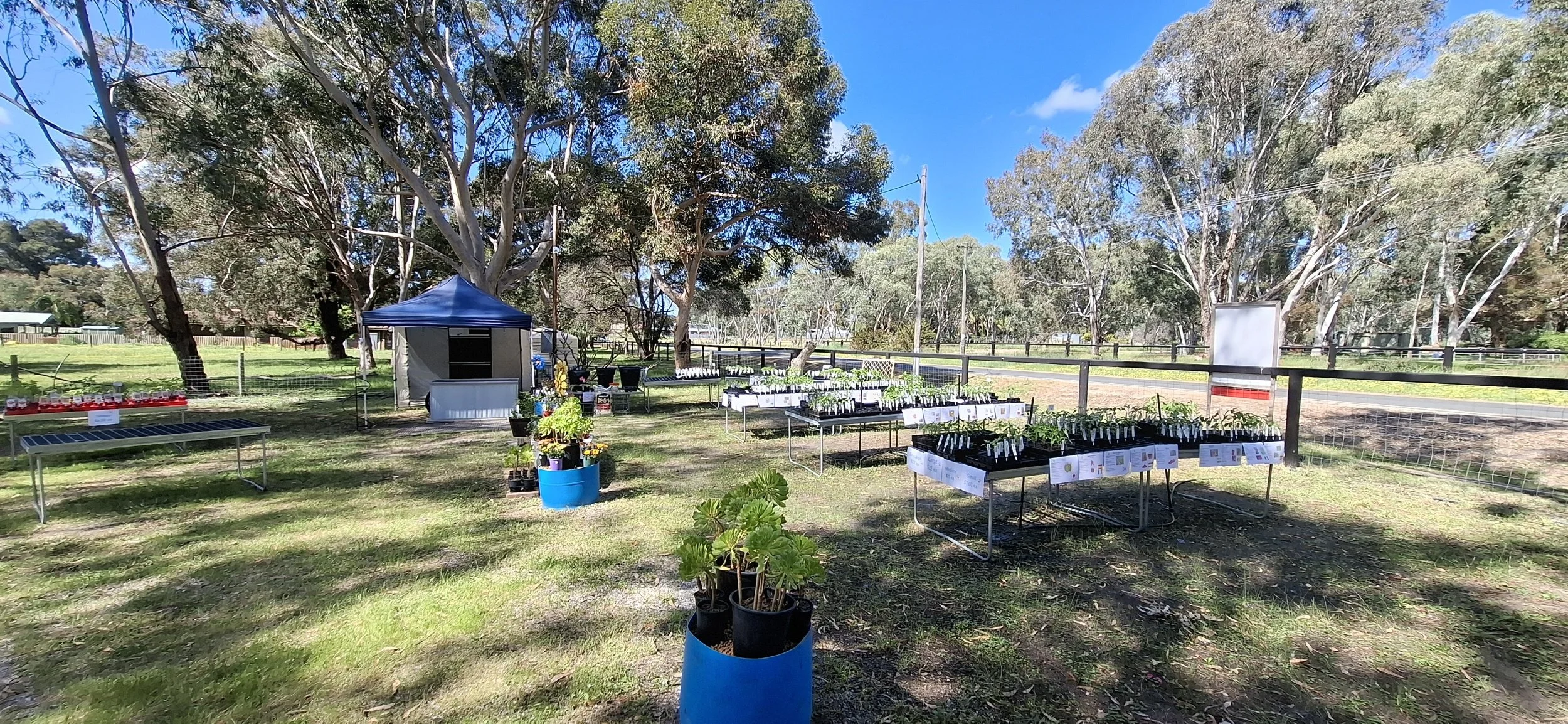 Swan Valley Chillies nursery - September 2026