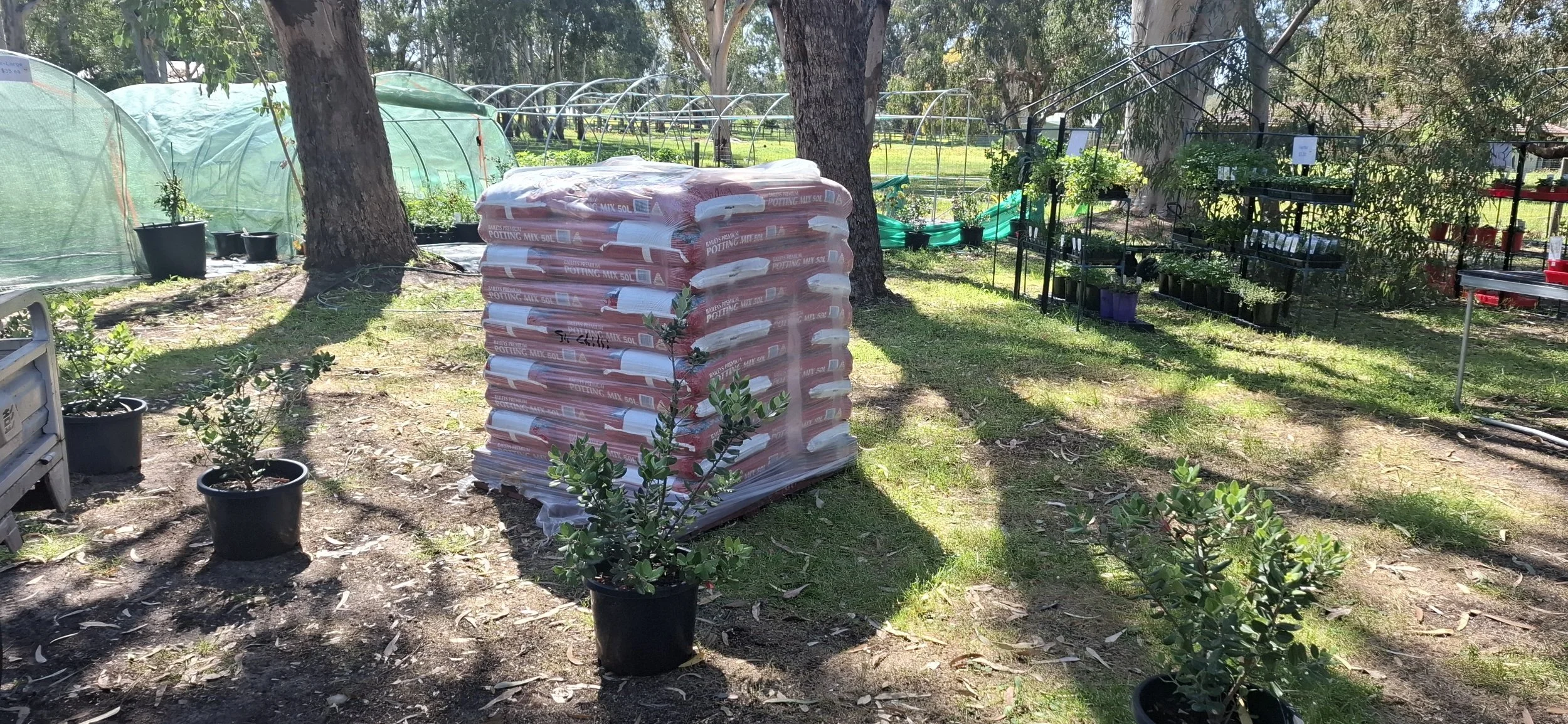 Baileys Premium Potting Mix - 50L bags