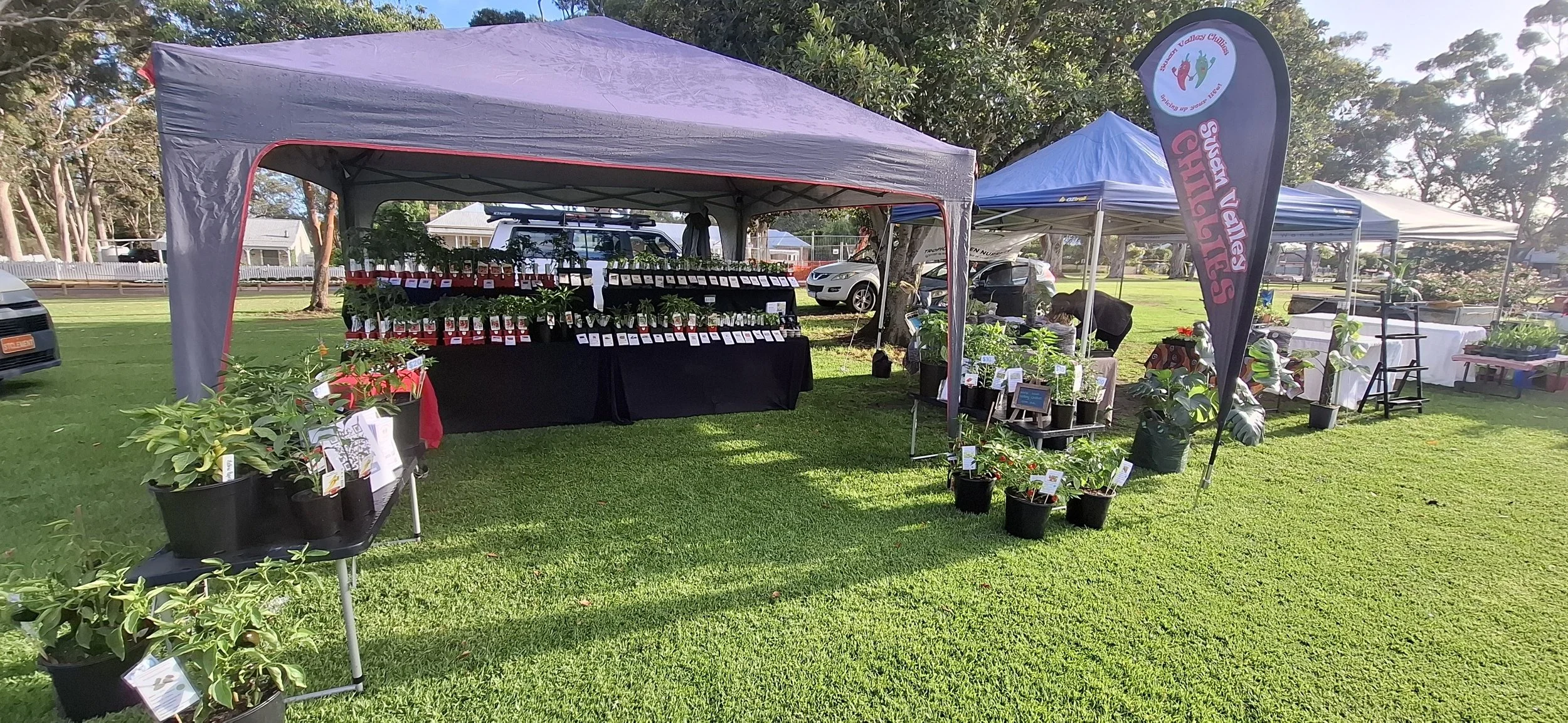 Festival Display - Swan Valley Chillies