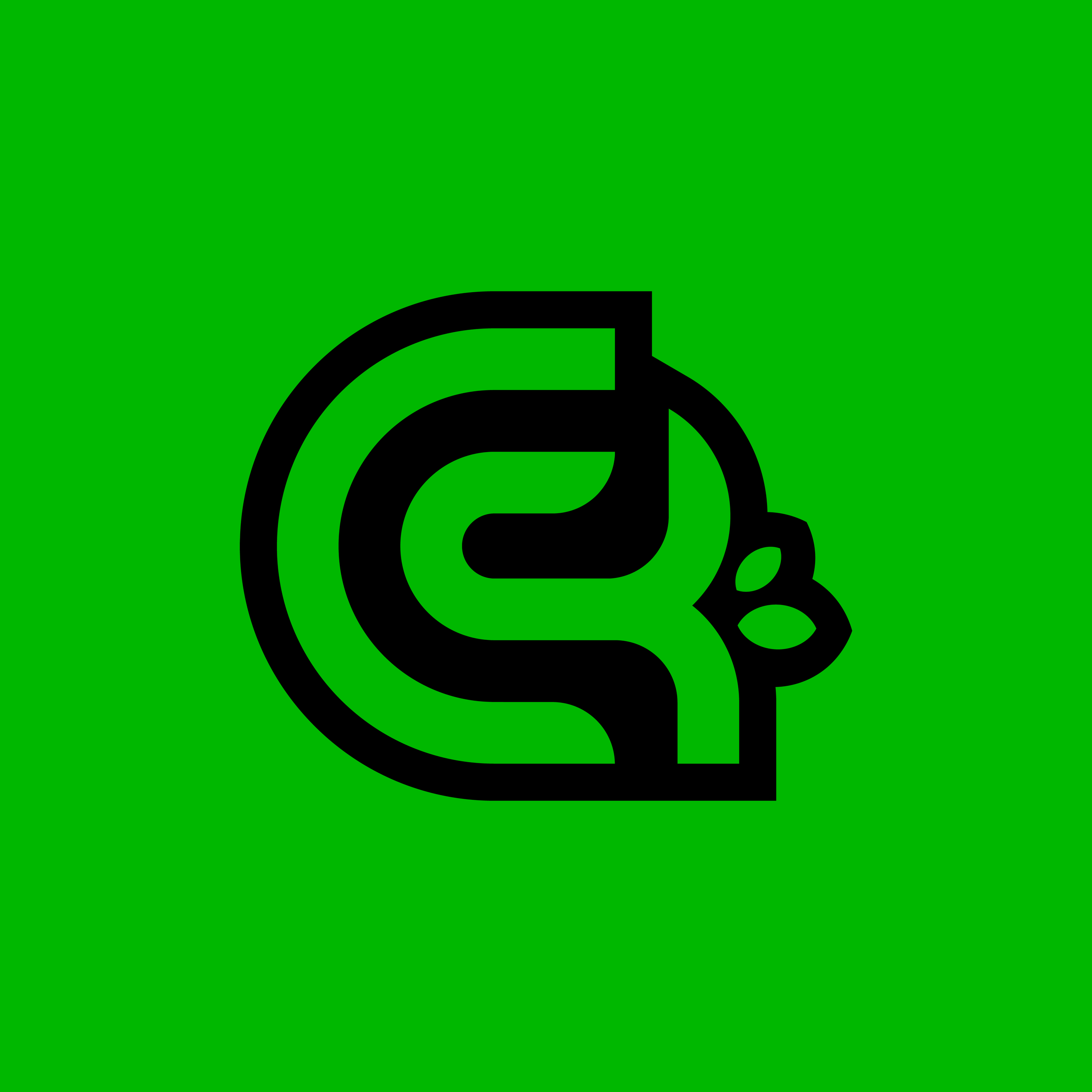 Capital Region Lawn Care
