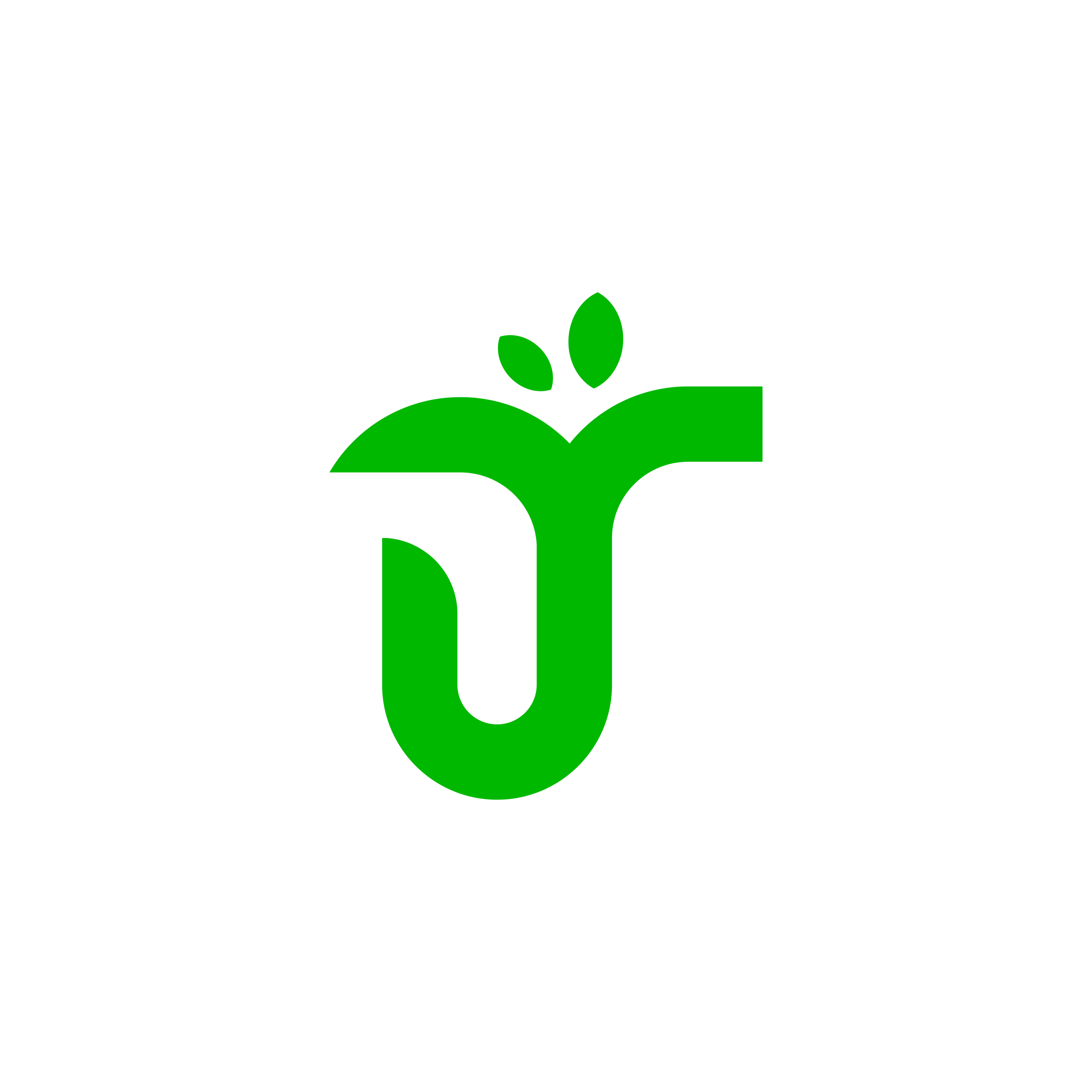Capital Region Lawn Care