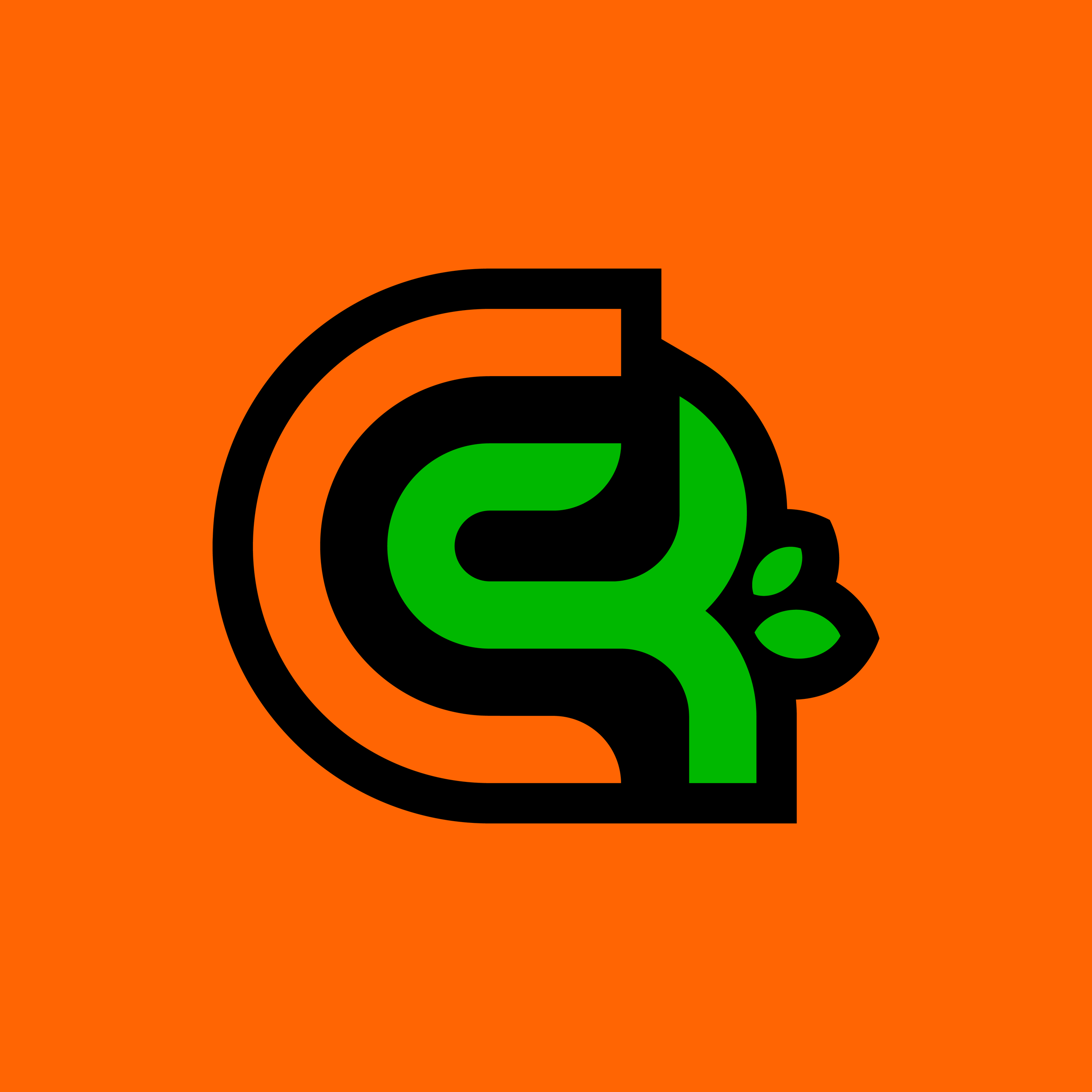 Capital Region Lawn Care