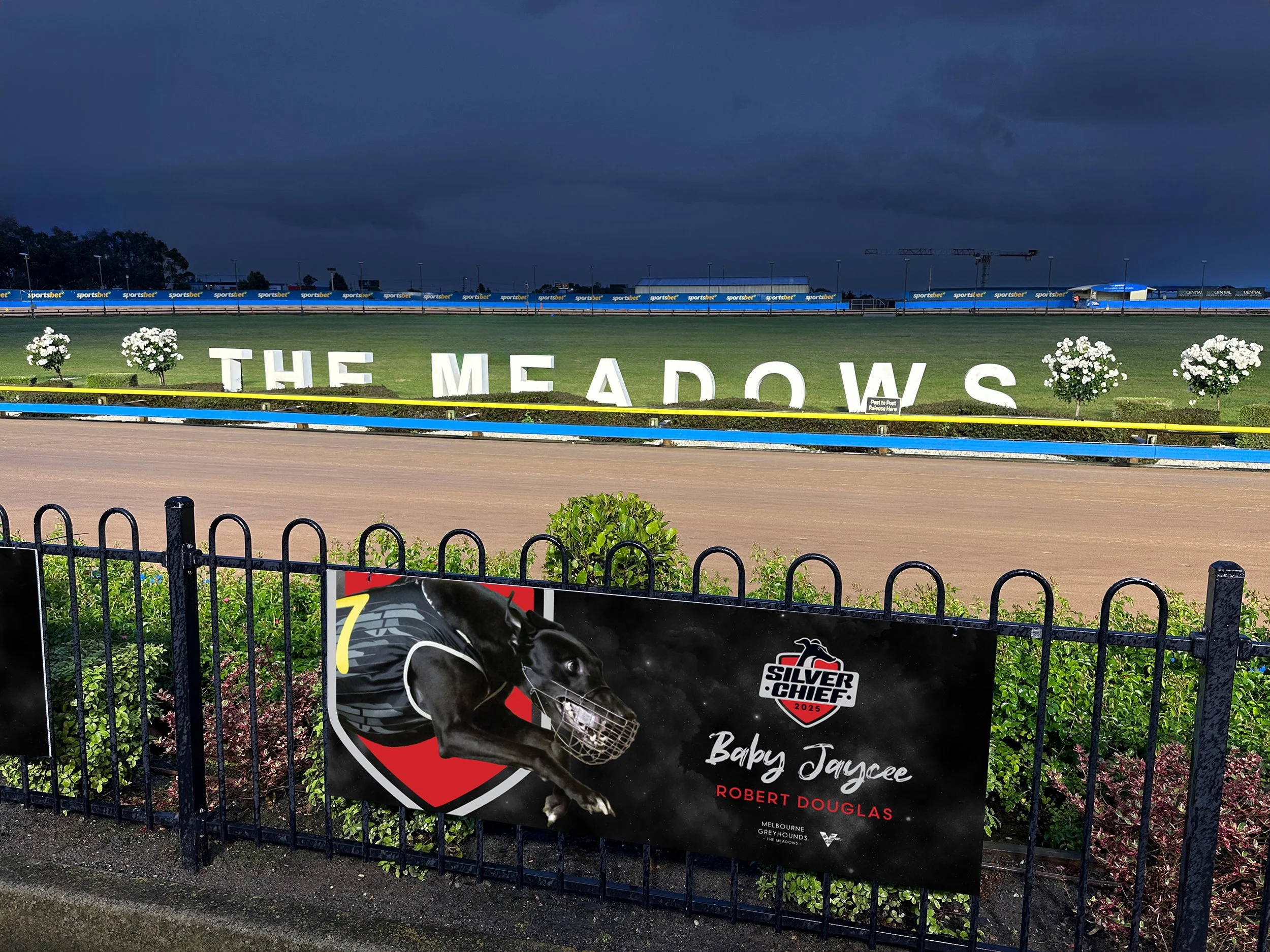 Melbourne Greyhounds - The Meadows