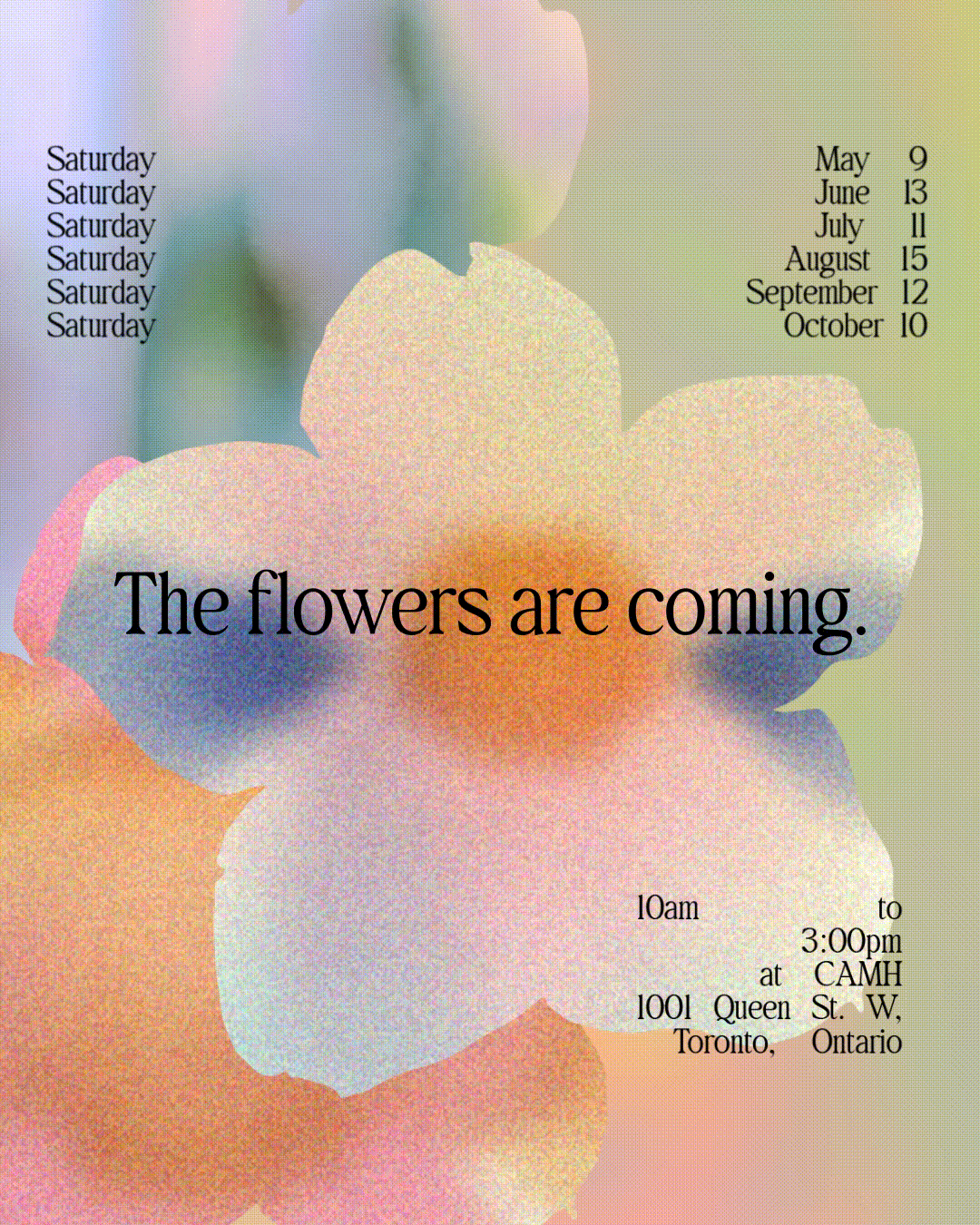 Toronto Flower Market