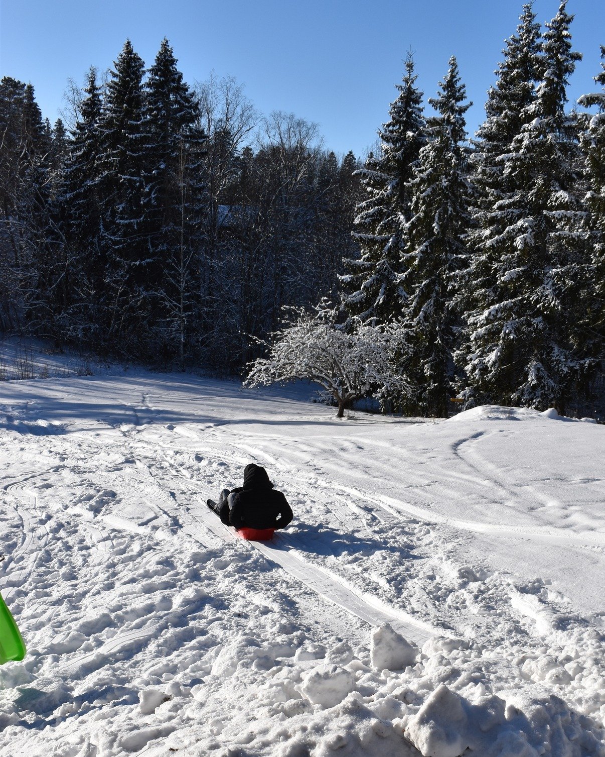 T&auml;n&auml;&auml;n Kannelj&auml;rven Opistolla j&auml;rjestettiin kasvatus- ja ohjausalan opiskelijoiden toimesta yst&auml;v&auml;np&auml;iv&auml;n tapahtuma. Tapahtuman aikana opiskelijat p&auml;&auml;siv&auml;t kiert&auml;m&auml;&auml;n erilaisi