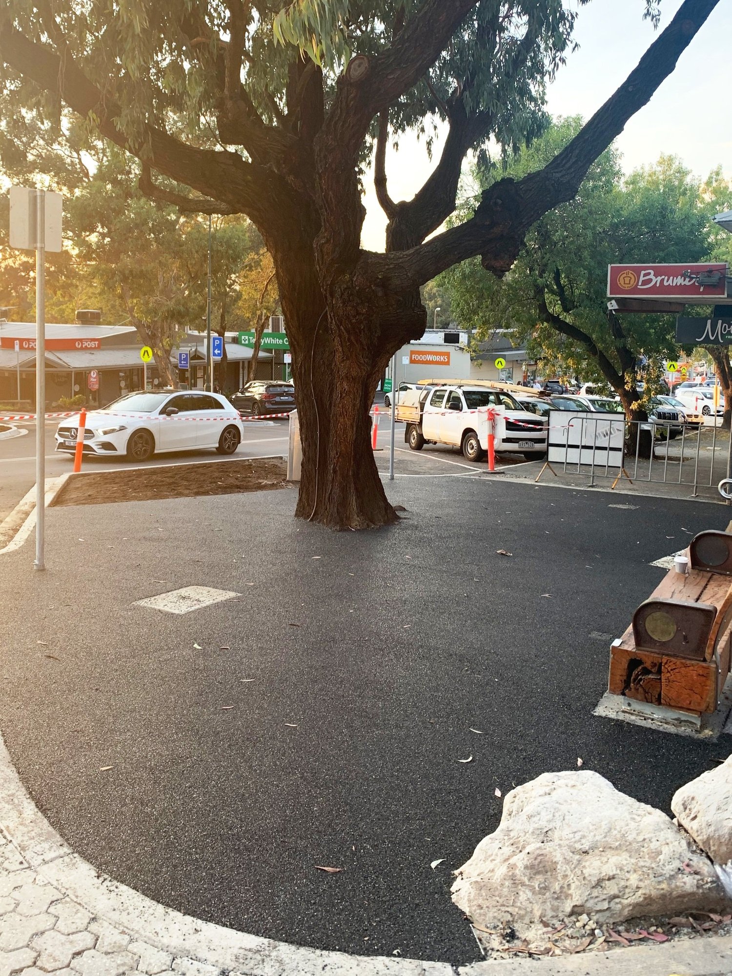Porous Lane Permeable Tree Surrounds — Porous Lane