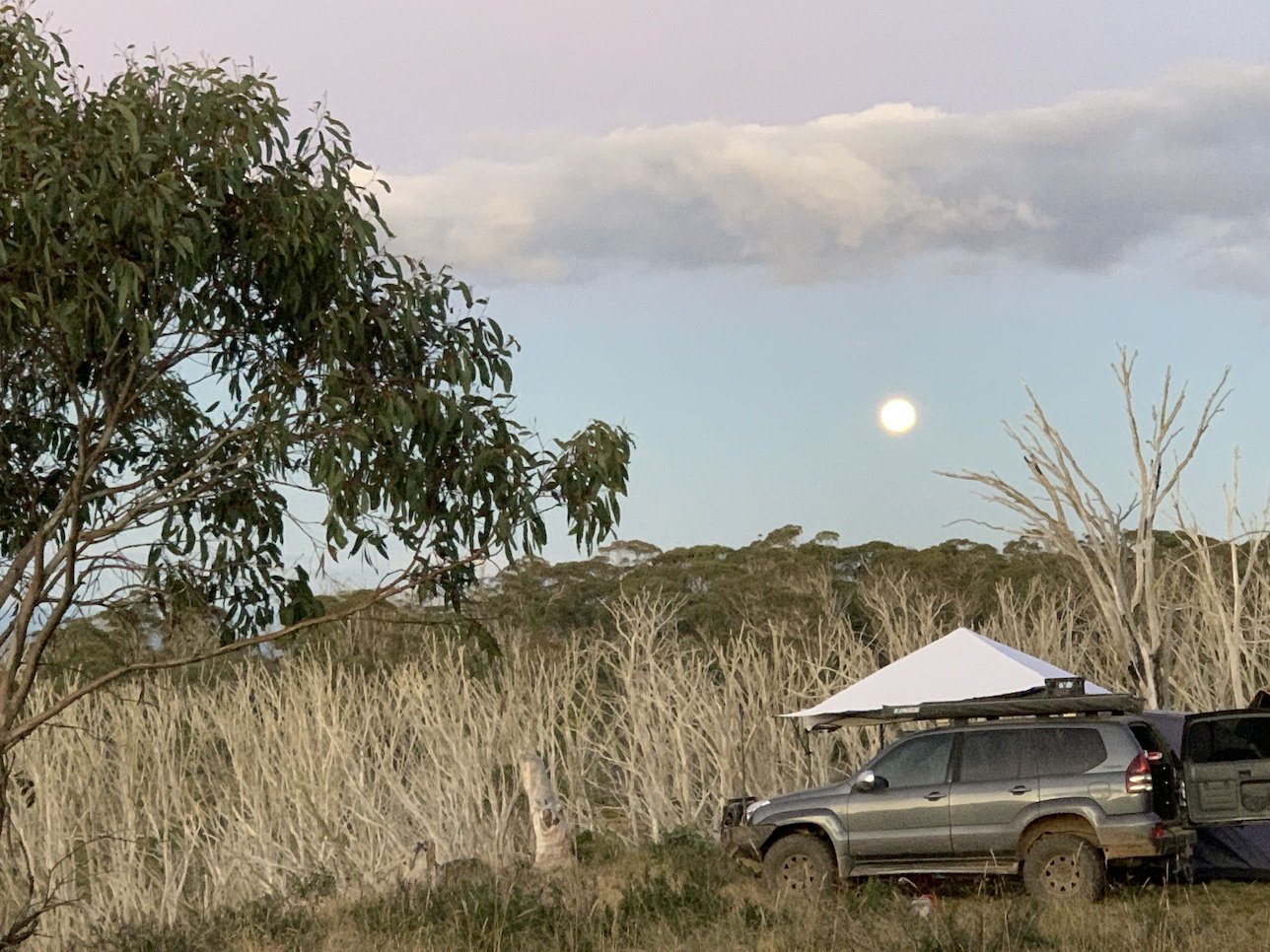 Wonnangatta Valley campsite