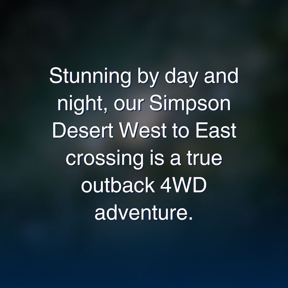 simpson-desert-west-to-east2-87kb.jpg