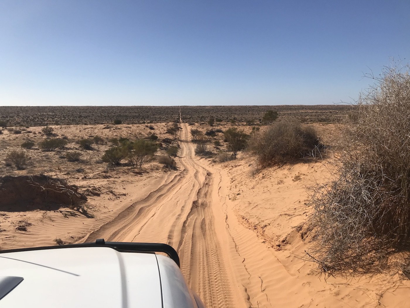 Simpson Desert track