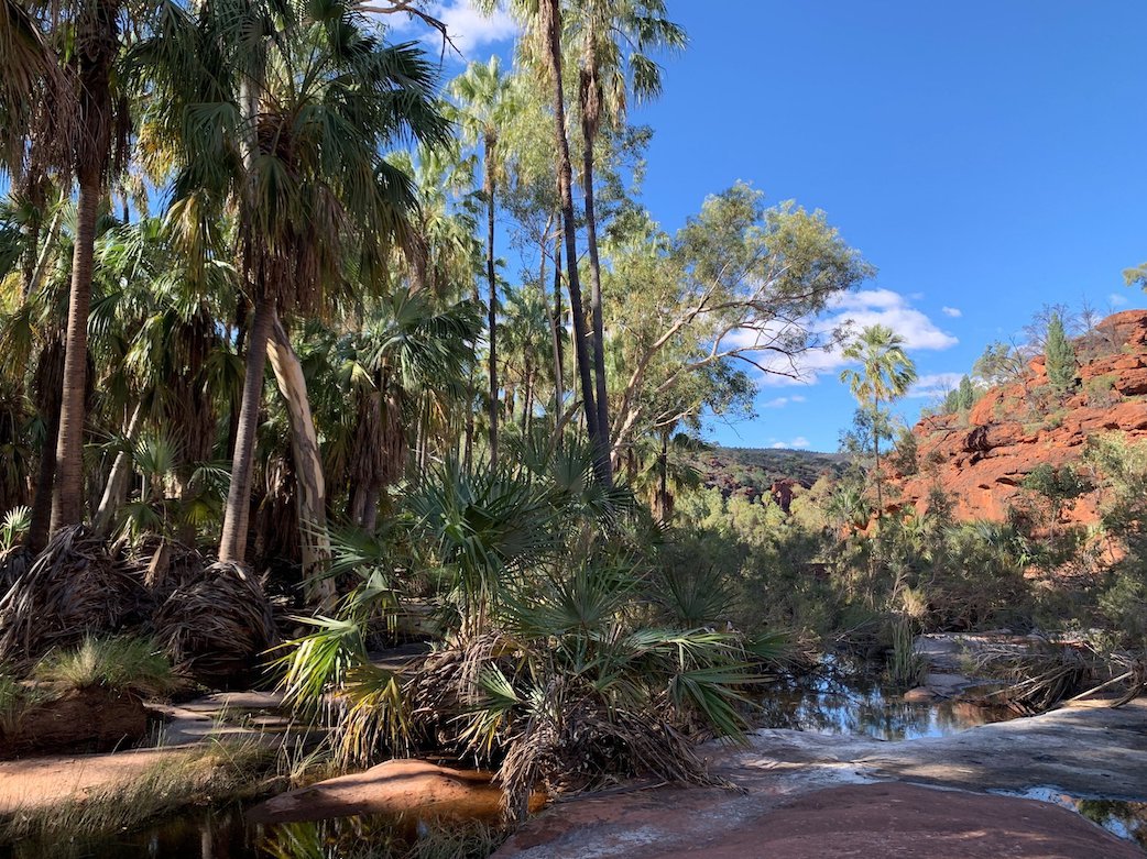 Finke Gorge, Palm Valley