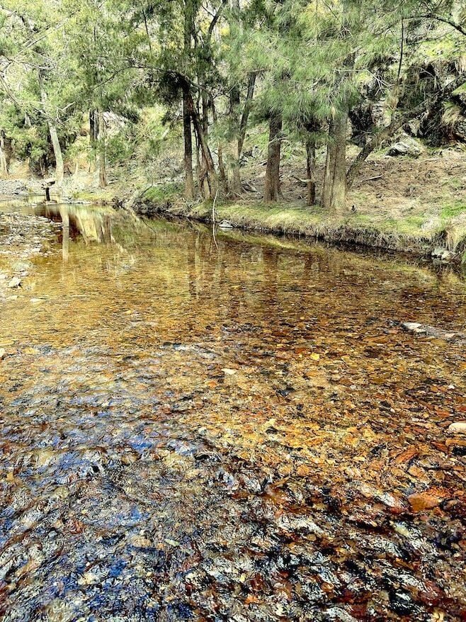 Peaceful creek scene in Abercrombie River National Park