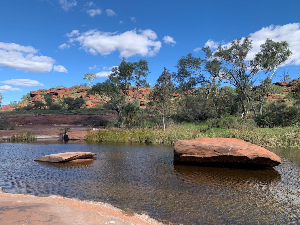 Finke Gorge, creek at Palm Valley campground
