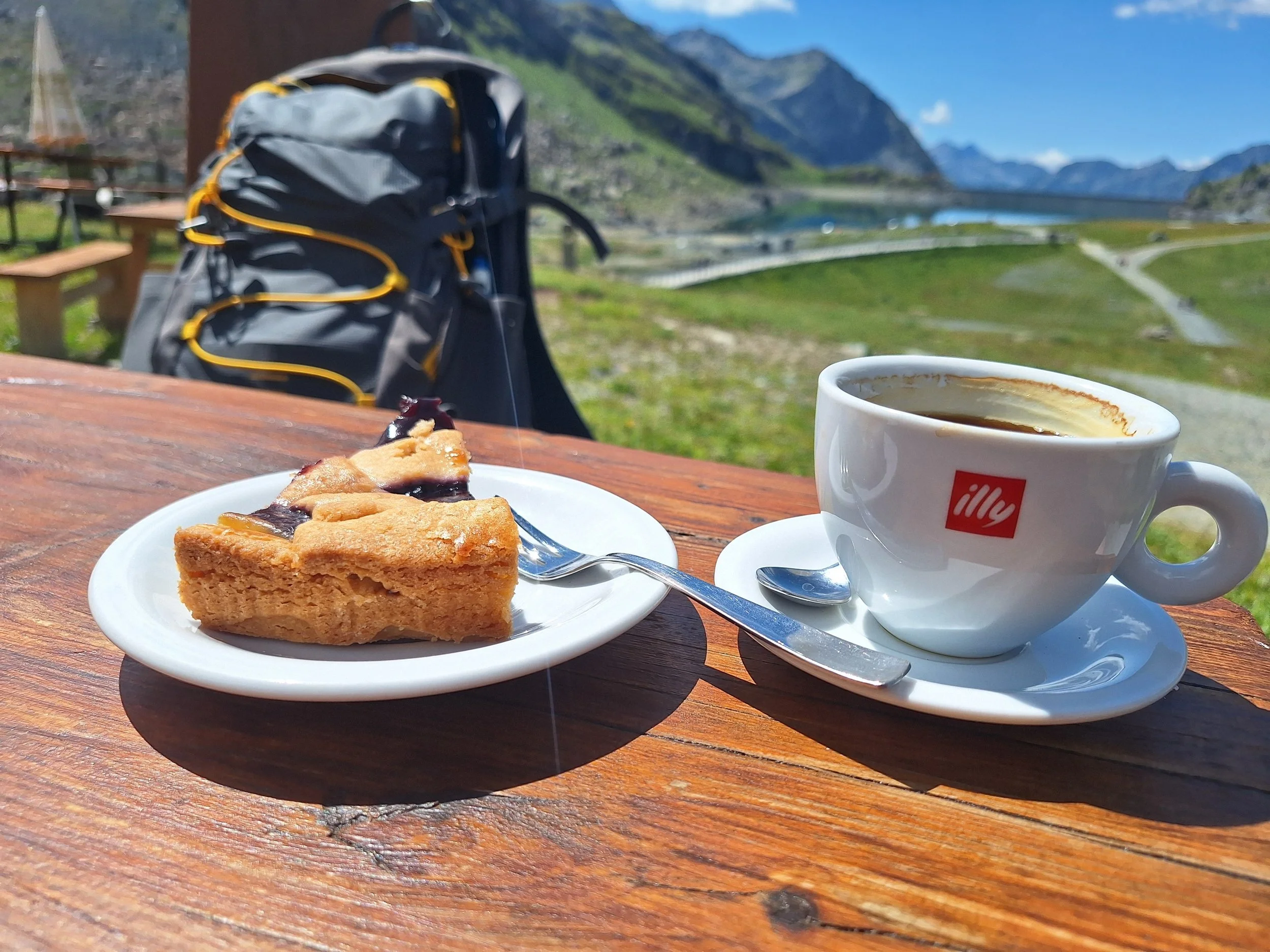 Alpine Odyssey