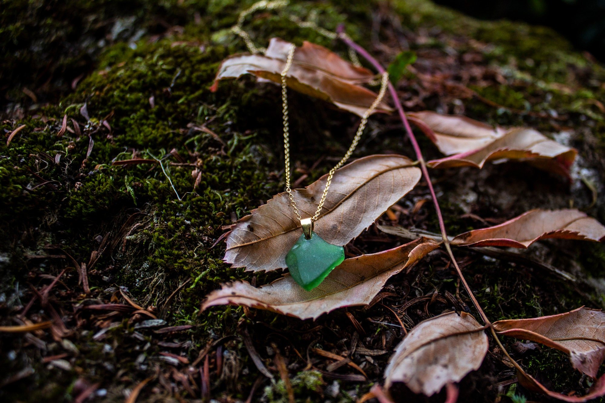 https://i.etsystatic.com/18241131/r/il/6bd3df/4256837137/il_fullxfull.4256837137_9s0s.jpg